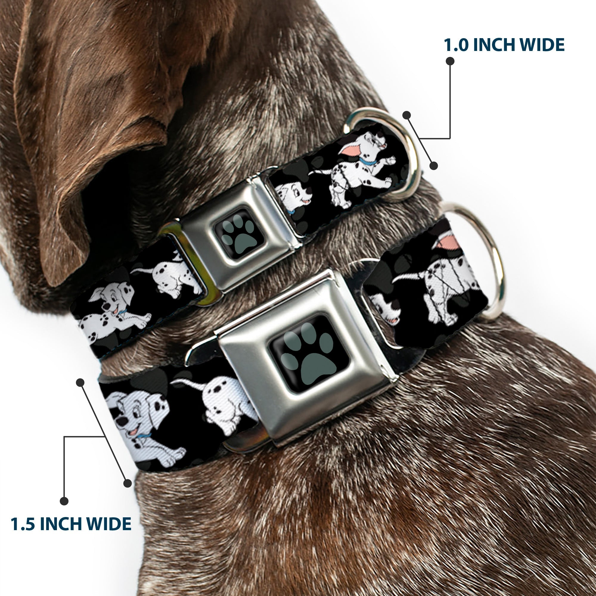 Dalmatian Paw Full Color Black Gray Seatbelt Buckle Collar - Dalmatians Running/Paws Black/Gray/White/Black