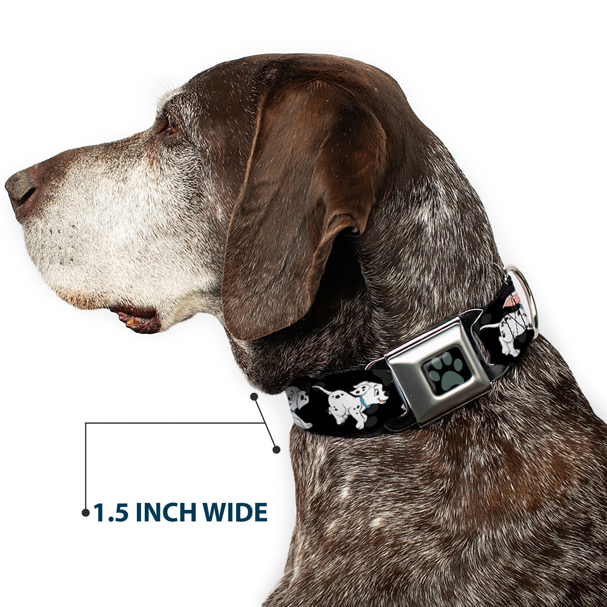 Dalmatian Paw Full Color Black Gray Seatbelt Buckle Collar - Dalmatians Running/Paws Black/Gray/White/Black