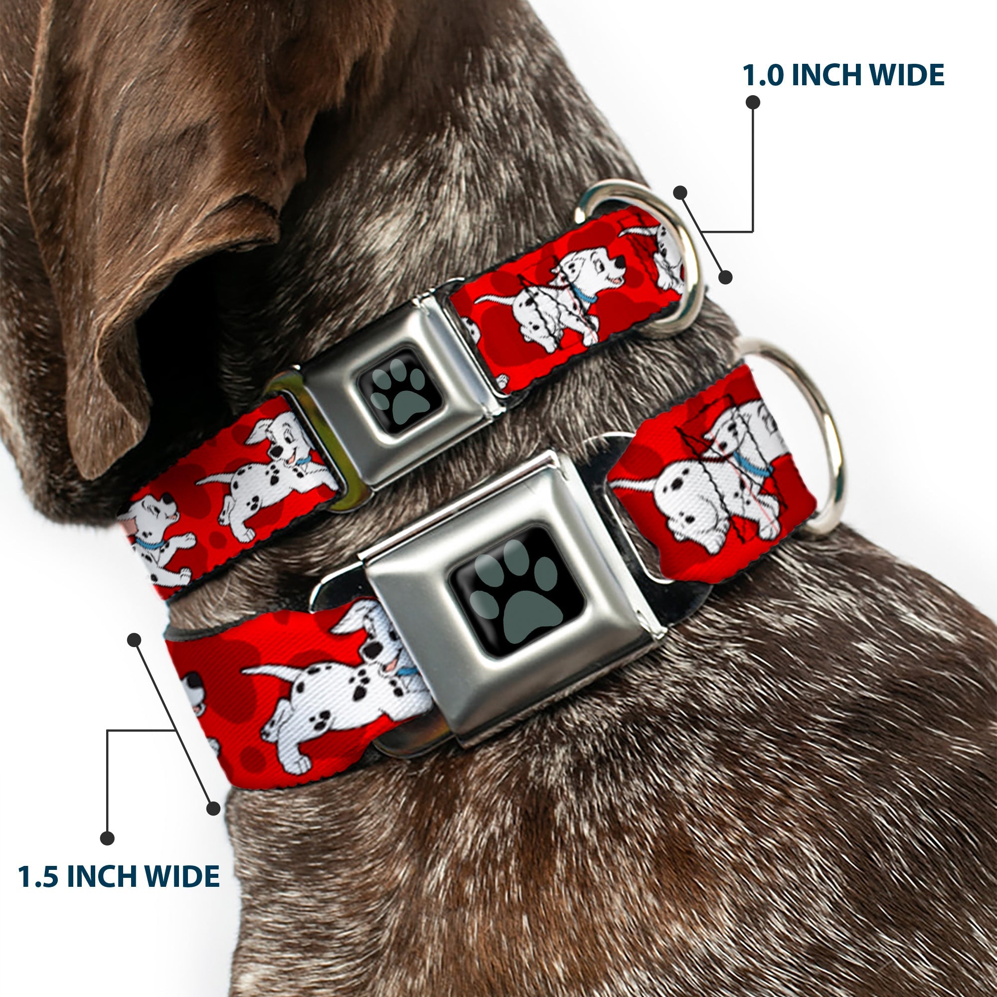 Dalmatian Paw Full Color Black Gray Seatbelt Buckle Collar - Dalmatians Running/Paws Reds/White/Black