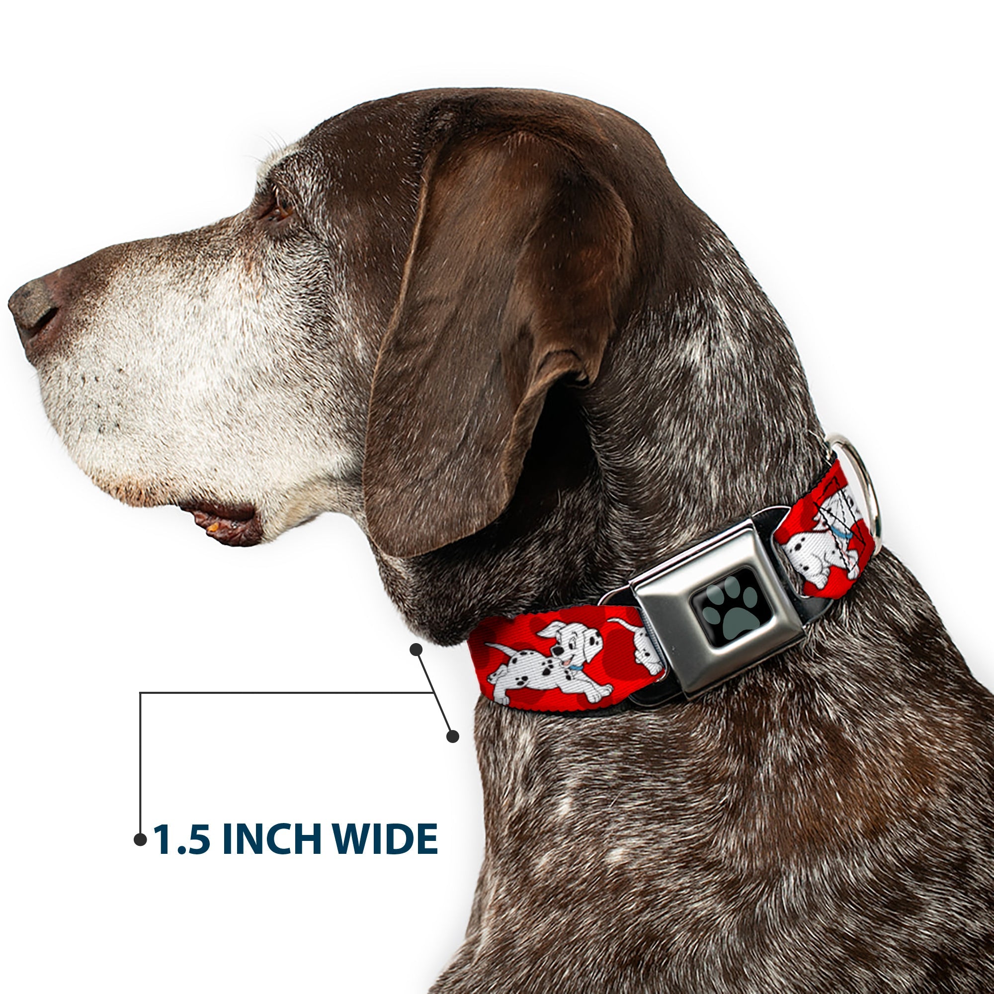 Dalmatian Paw Full Color Black Gray Seatbelt Buckle Collar - Dalmatians Running/Paws Reds/White/Black