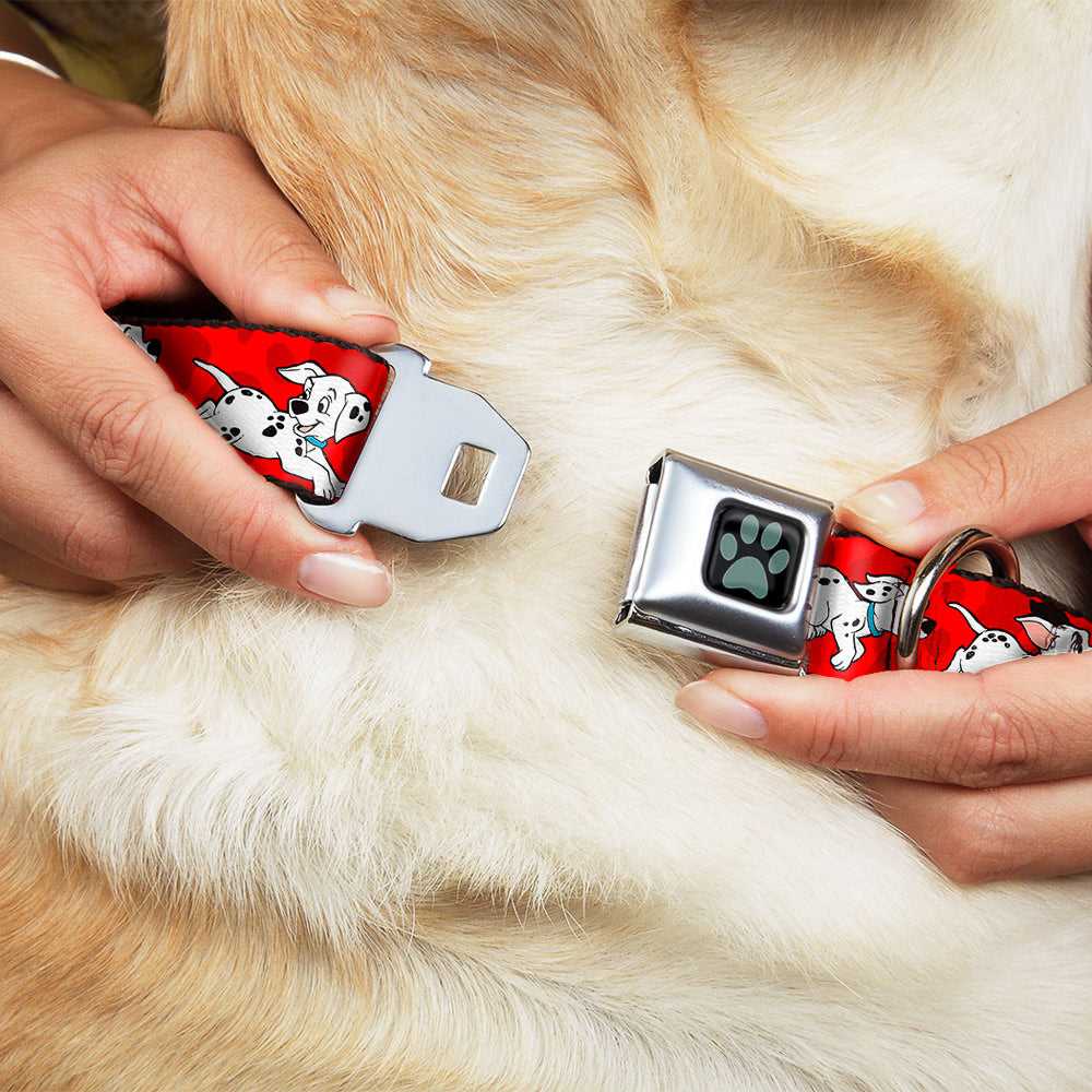 Dalmatian Paw Full Color Black Gray Seatbelt Buckle Collar - Dalmatians Running/Paws Reds/White/Black