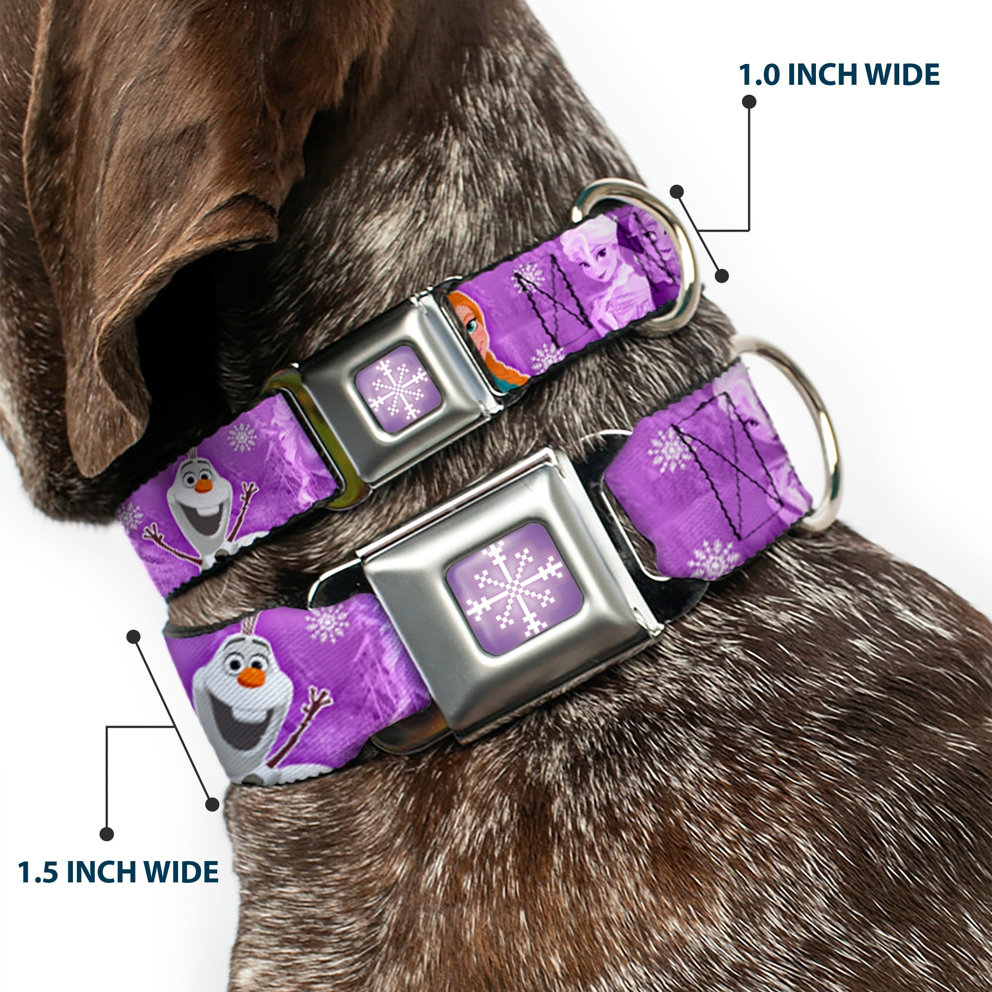 Snowflake Full Color Purple White Seatbelt Buckle Collar - Frozen Anna/Elsa/Olaf Poses/Scenes Purples