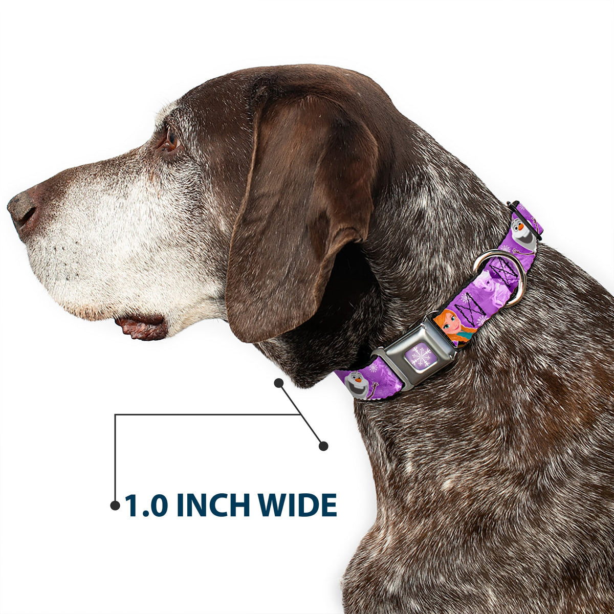 Snowflake Full Color Purple White Seatbelt Buckle Collar - Frozen Anna/Elsa/Olaf Poses/Scenes Purples