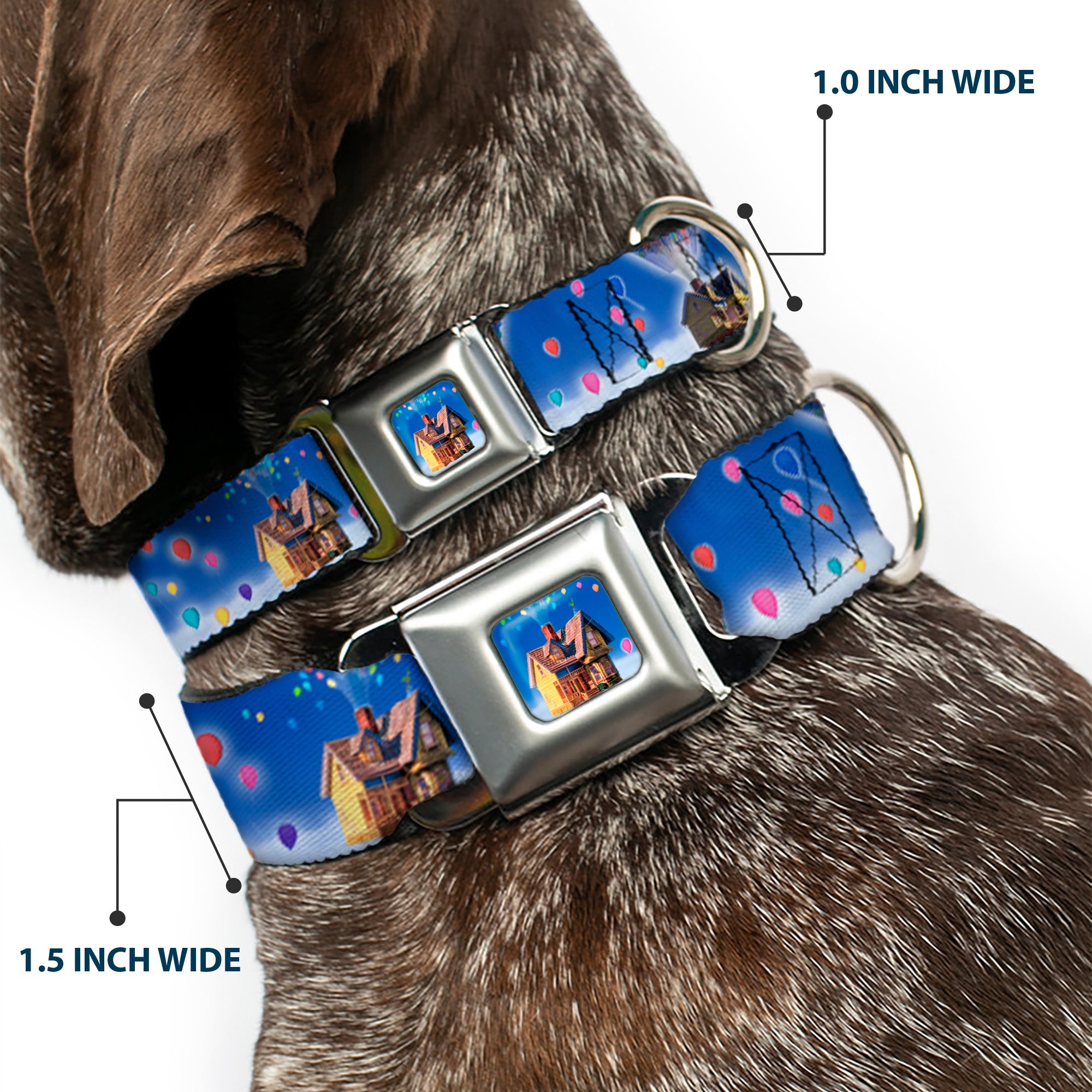 Flying House w/Balloons Full Color Seatbelt Buckle Collar - Up Carl on Porch/Flying House/Balloons