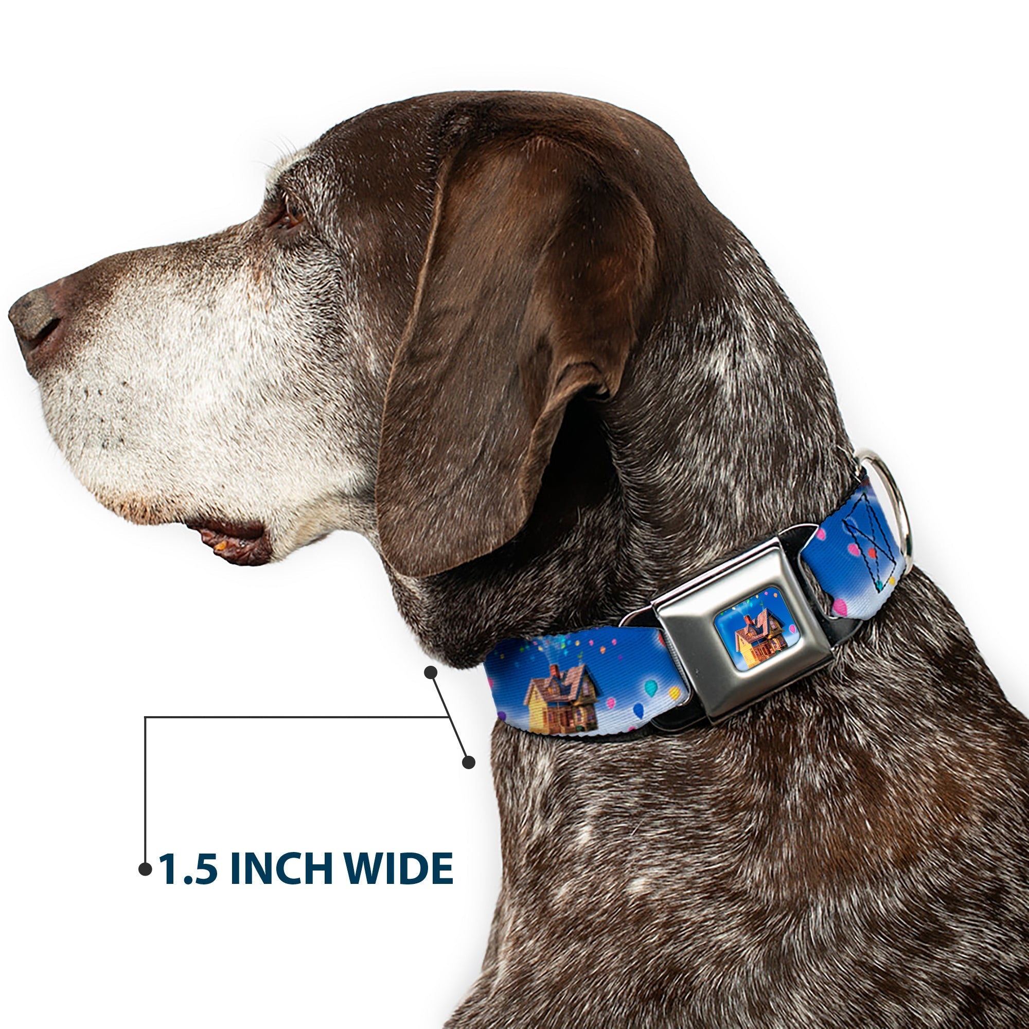 Flying House w/Balloons Full Color Seatbelt Buckle Collar - Up Carl on Porch/Flying House/Balloons