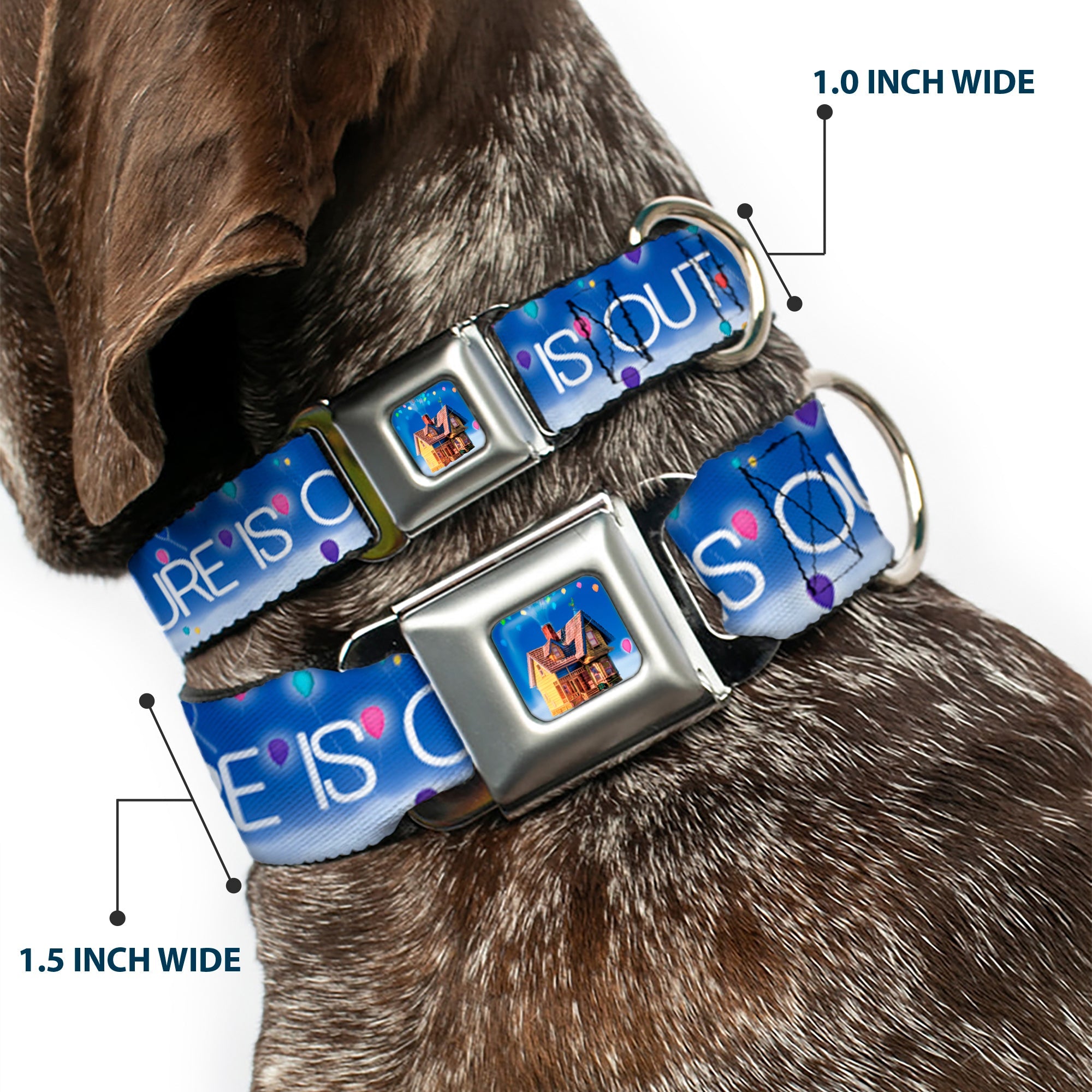 Flying House w/Balloons Full Color Seatbelt Buckle Collar - ADVENTURE IS OUT THERE/Carl on Porch/Flying House/Balloons Blues/White/Multi Color