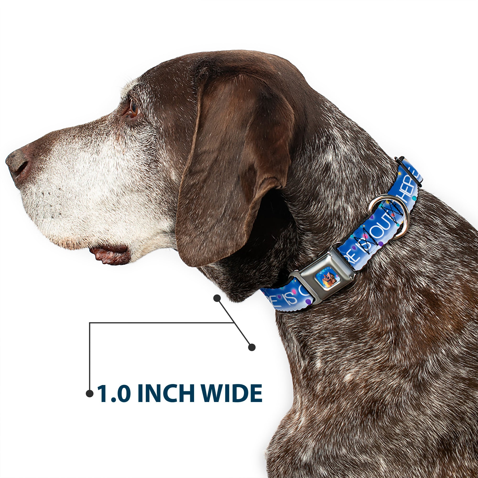 Flying House w/Balloons Full Color Seatbelt Buckle Collar - ADVENTURE IS OUT THERE/Carl on Porch/Flying House/Balloons Blues/White/Multi Color