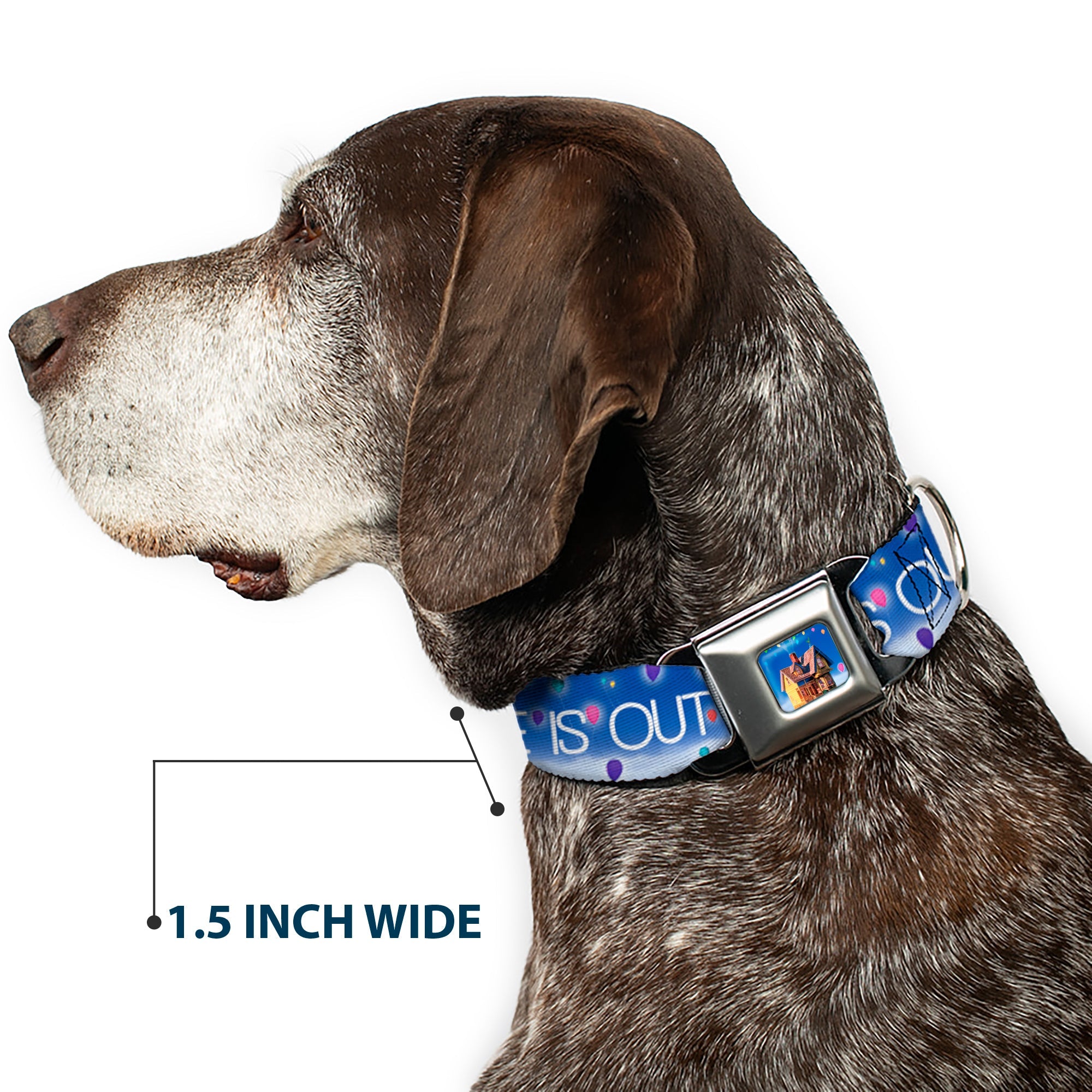 Flying House w/Balloons Full Color Seatbelt Buckle Collar - ADVENTURE IS OUT THERE/Carl on Porch/Flying House/Balloons Blues/White/Multi Color