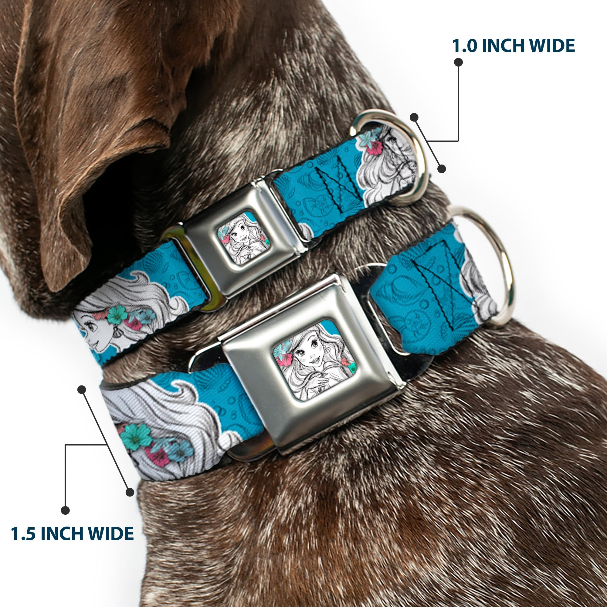 Ariel Sketch2 Pose Full Color Blue Seatbelt Buckle Collar - Ariel Poses/Shells Sketch Blue/White