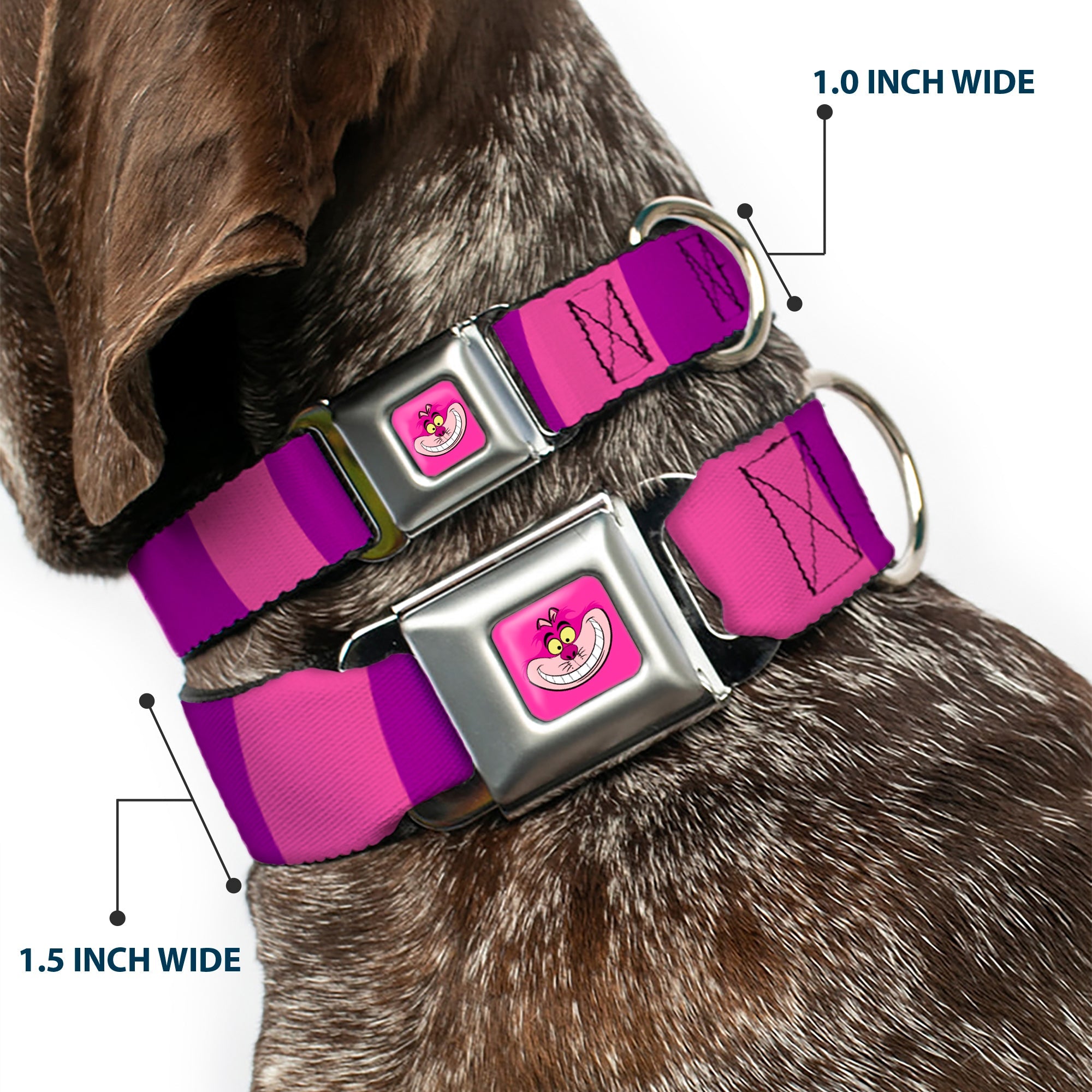 Cheshire Cat Face Full Color Pink Seatbelt Buckle Collar - Cheshire Cat Stripe Pink/Purple