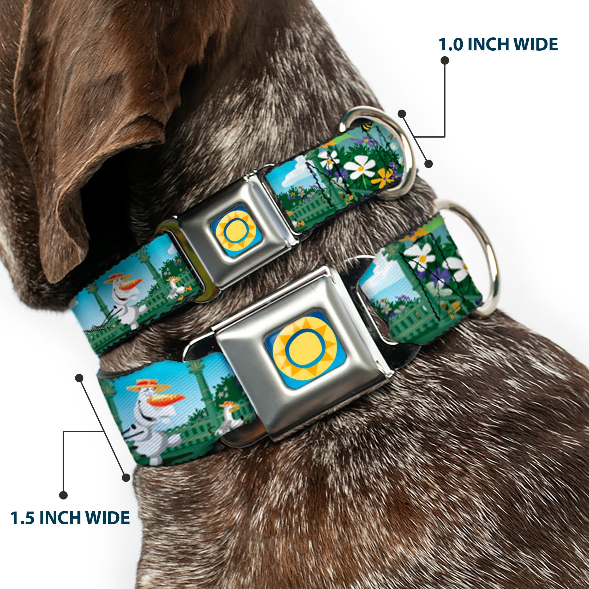 Frozen Sun2 Royal Full Color Blue/Yellows Seatbelt Buckle Collar - Olaf Garden Scenes