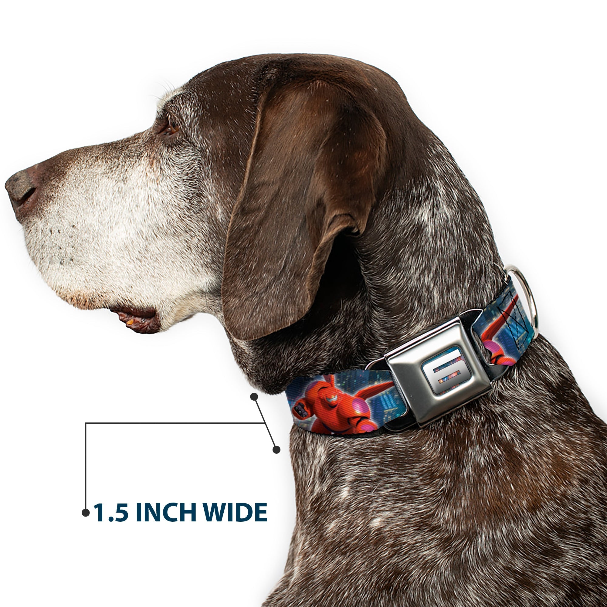 Big Hero "6" Name Blocks Full Color Black Gray White Seatbelt Buckle Collar - Hiro & Baymax Action Poses/San Fransokyo