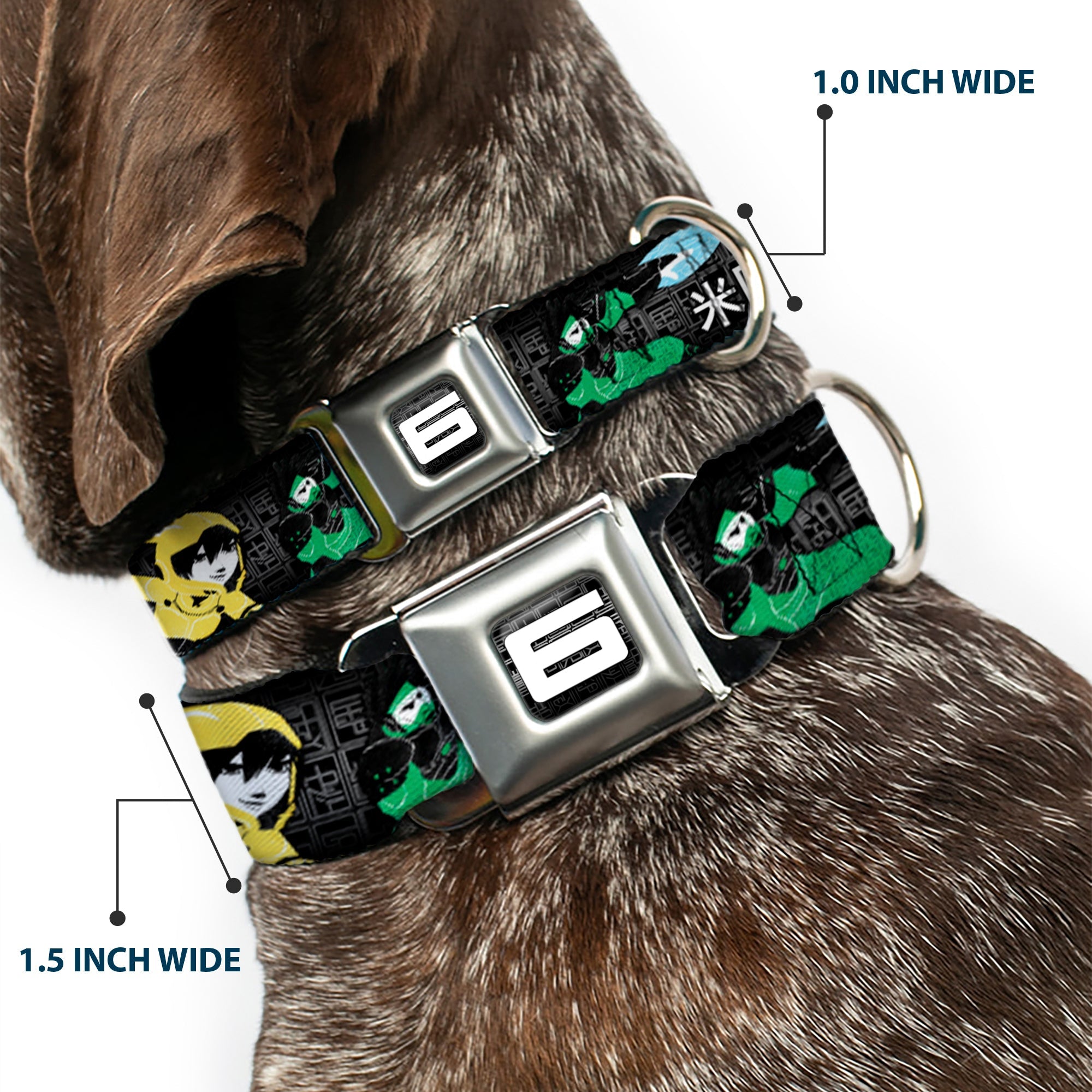 Big Hero "6" Name Blocks Full Color Black Gray White Seatbelt Buckle Collar - Big Hero 6 Group Action Pose/Name Blocks Black/Gray/Multi Color