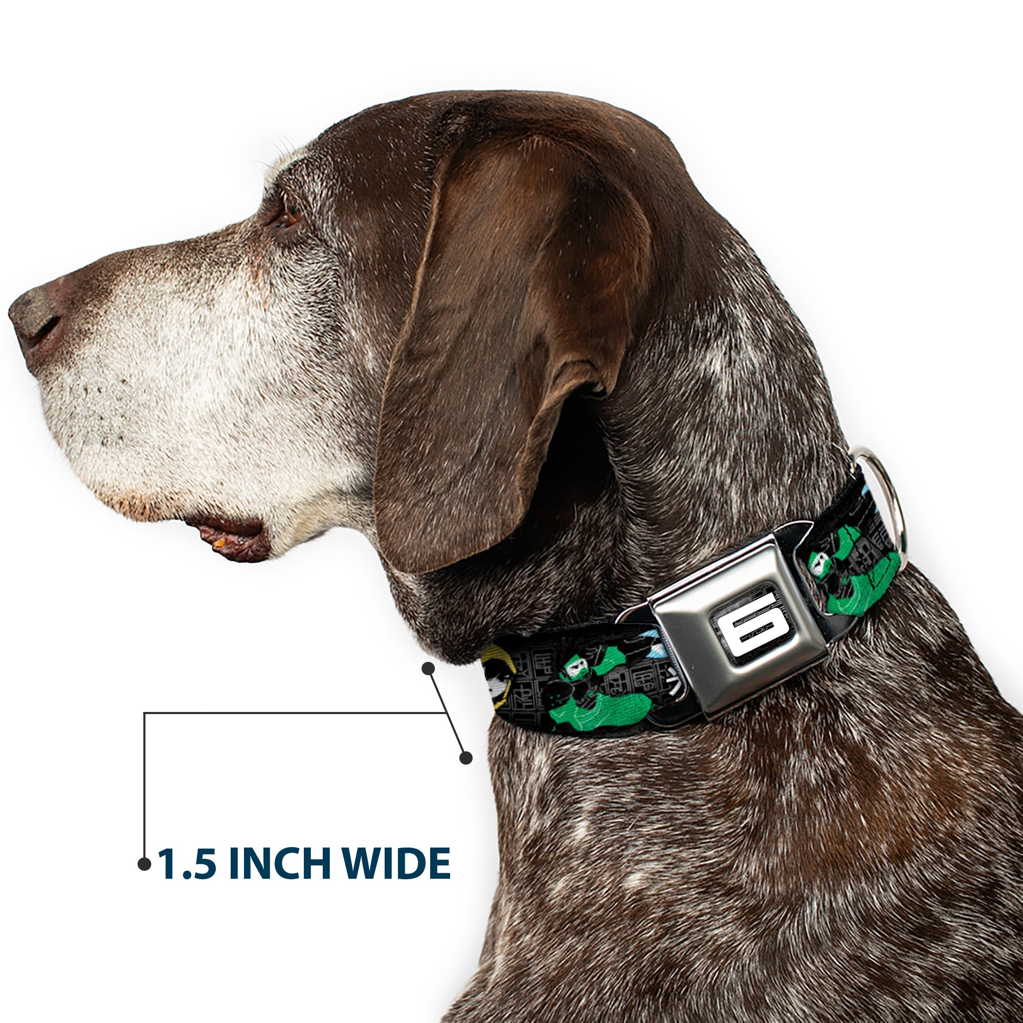 Big Hero "6" Name Blocks Full Color Black Gray White Seatbelt Buckle Collar - Big Hero 6 Group Action Pose/Name Blocks Black/Gray/Multi Color