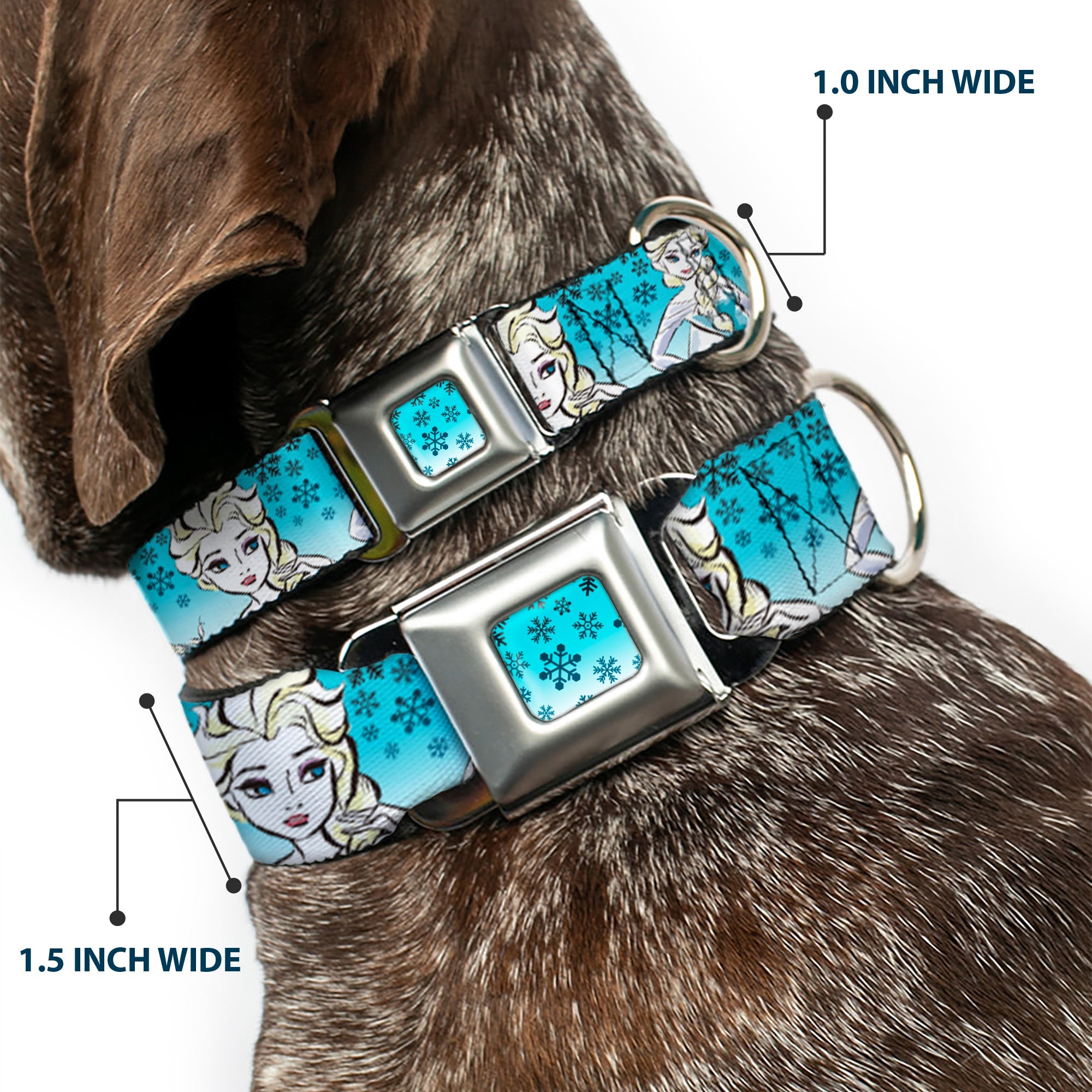 Snowflakes Frozen Art Collection Full Color Blues/White Seatbelt Buckle Collar - Anna/Snowflakes Frozen Art Collection Poses