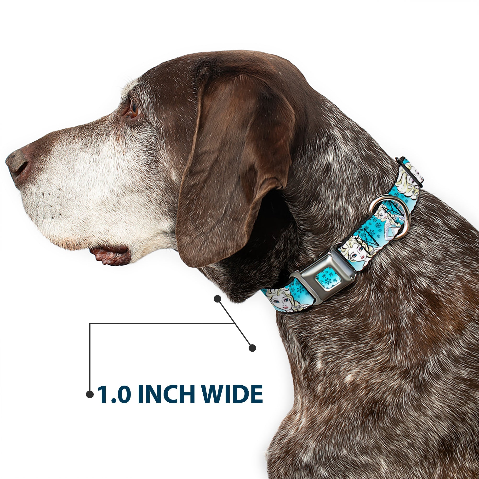 Snowflakes Frozen Art Collection Full Color Blues/White Seatbelt Buckle Collar - Anna/Snowflakes Frozen Art Collection Poses