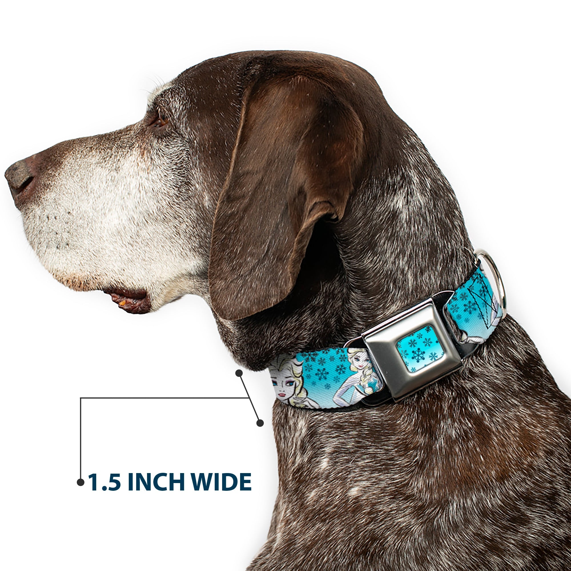 Snowflakes Frozen Art Collection Full Color Blues/White Seatbelt Buckle Collar - Anna/Snowflakes Frozen Art Collection Poses