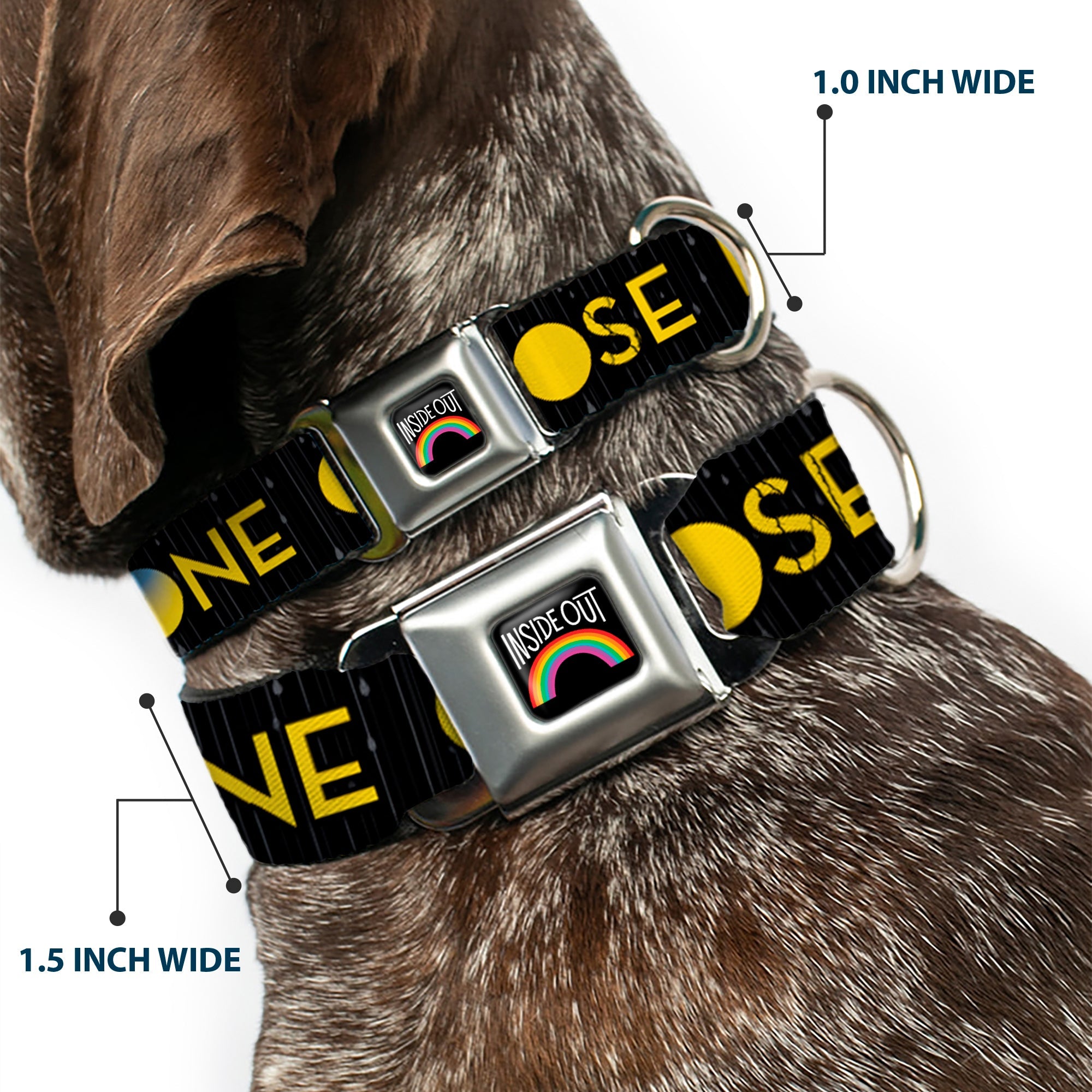 INSIDE OUT Rainbow Full Color Black/White/Multi Color Seatbelt Buckle Collar - Joy Poses/Rain ONE OF THOSE DAYS Black/Gray/Blues/Yellow