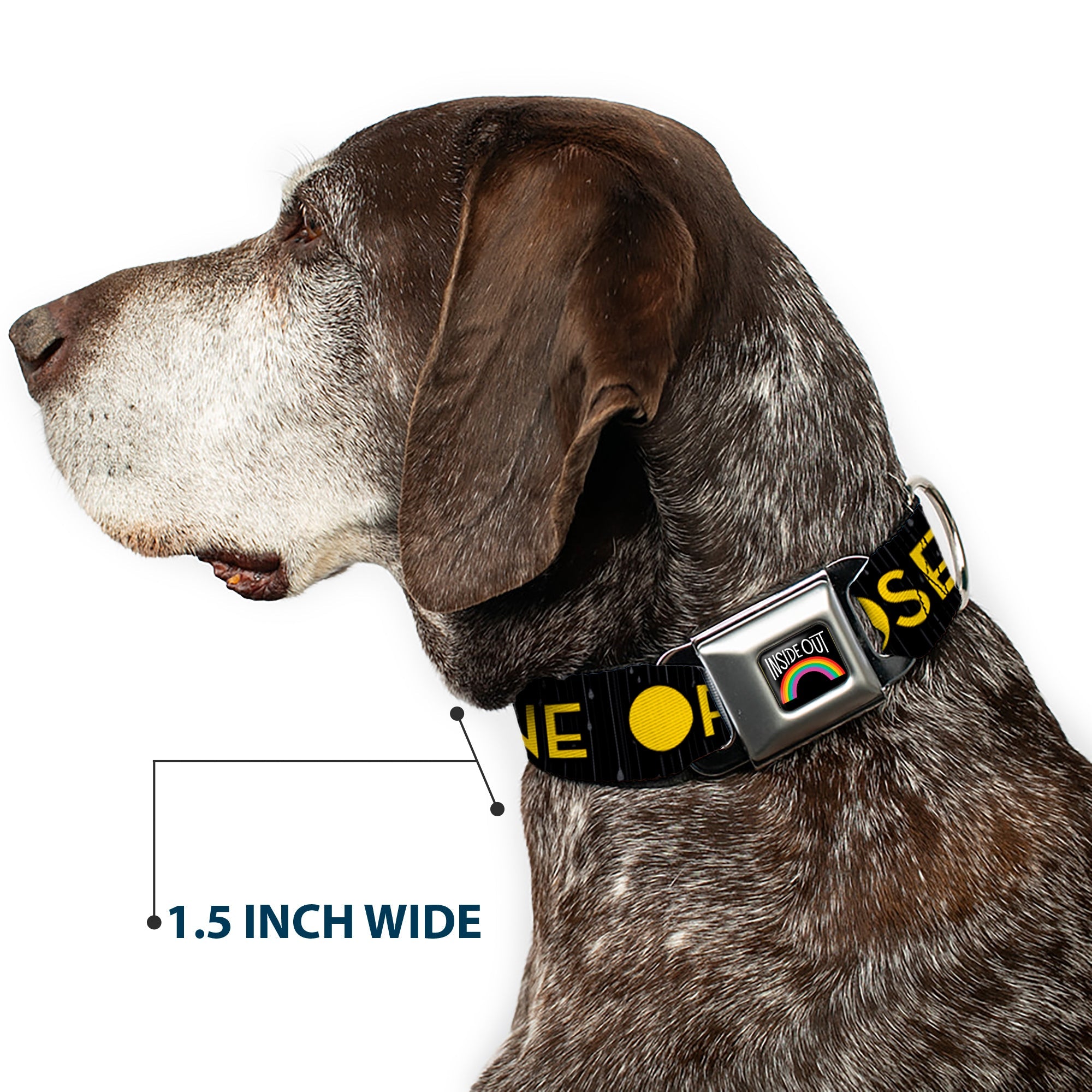 INSIDE OUT Rainbow Full Color Black/White/Multi Color Seatbelt Buckle Collar - Joy Poses/Rain ONE OF THOSE DAYS Black/Gray/Blues/Yellow