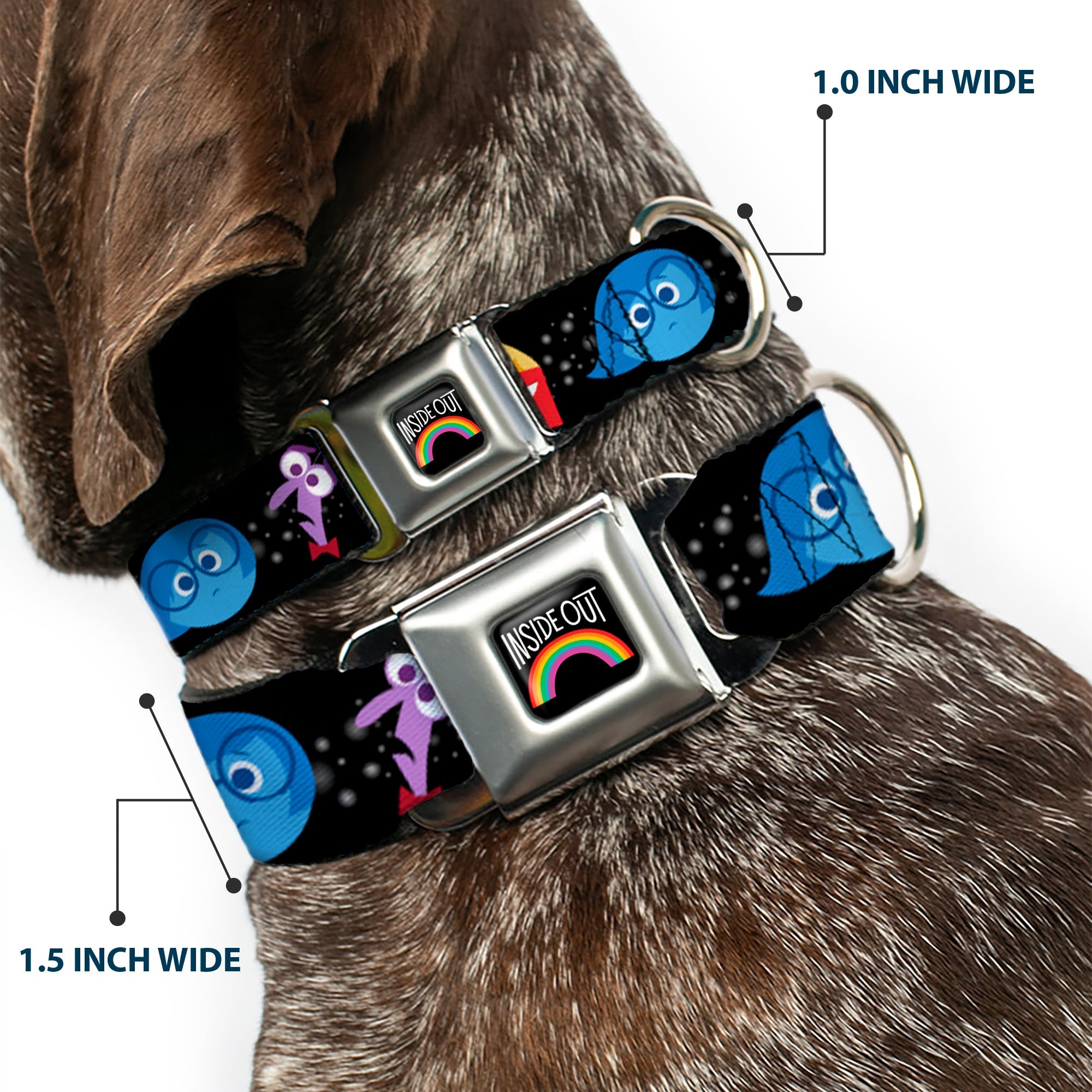 INSIDE OUT Rainbow Full Color Black/White/Multi Color Seatbelt Buckle Collar - INSIDE OUT/Emotion Expressions/EVERY DAY IS FULL OF EMOTIONS