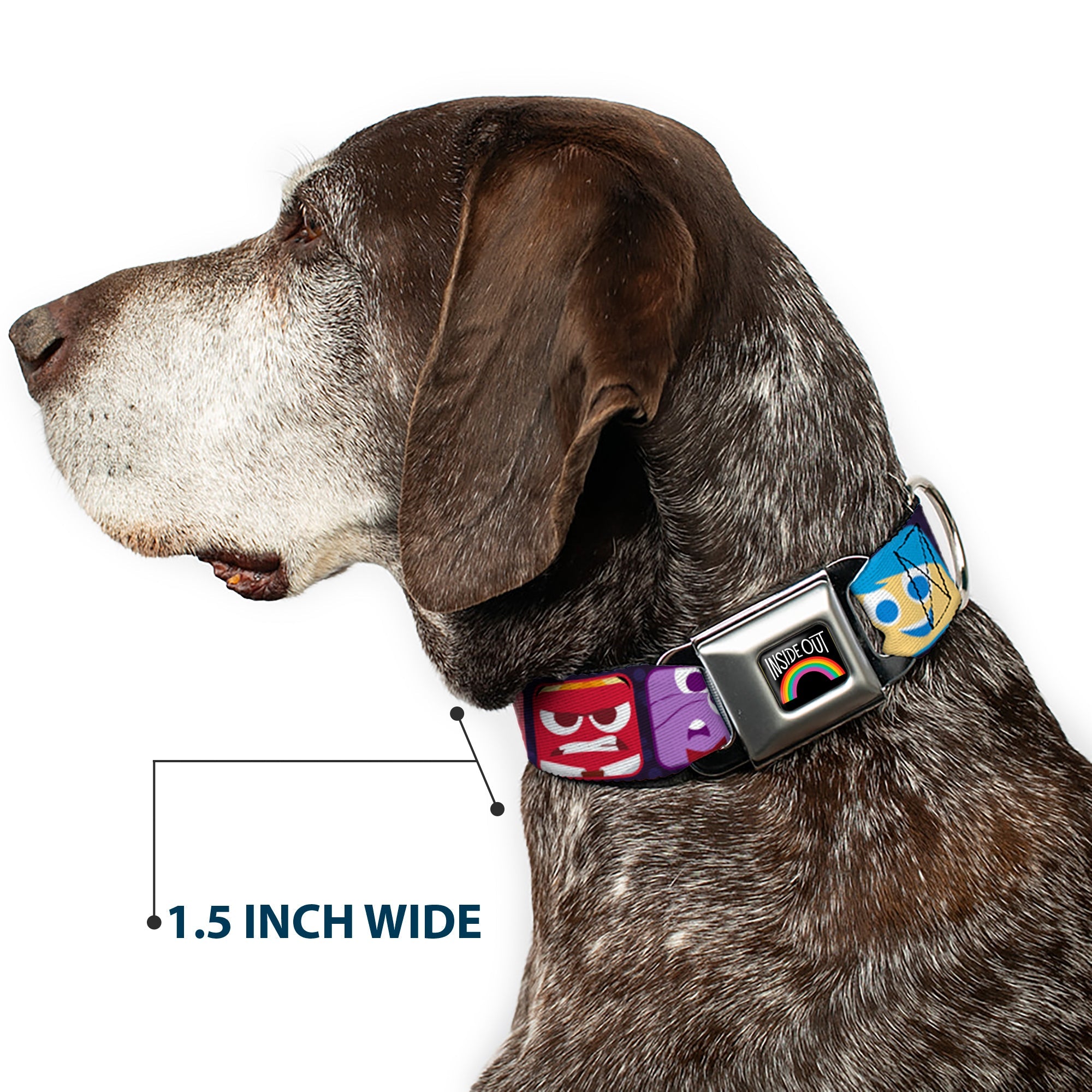 INSIDE OUT Rainbow Full Color Black White Multi Color Seatbelt Buckle Collar - Inside Out 6-Character Esxpression Blocks Purple/Multi Color