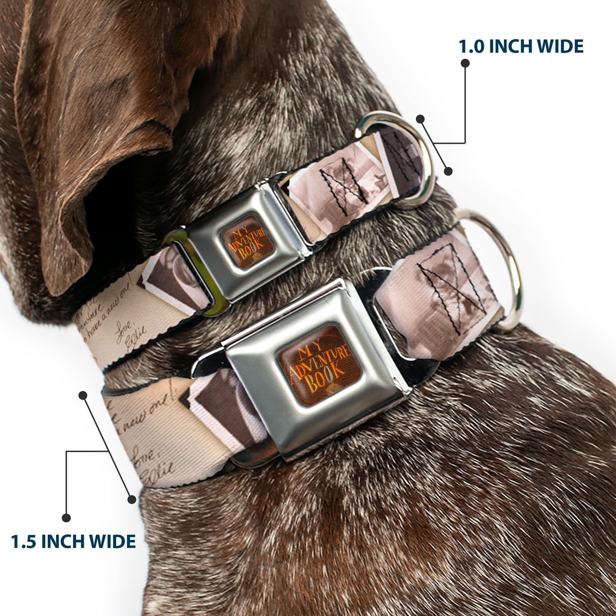 Up MY ADVENTURE BOOK Cover Full Color Seatbelt Buckle Collar - Up Adventure Book Snapshots/Post Cards