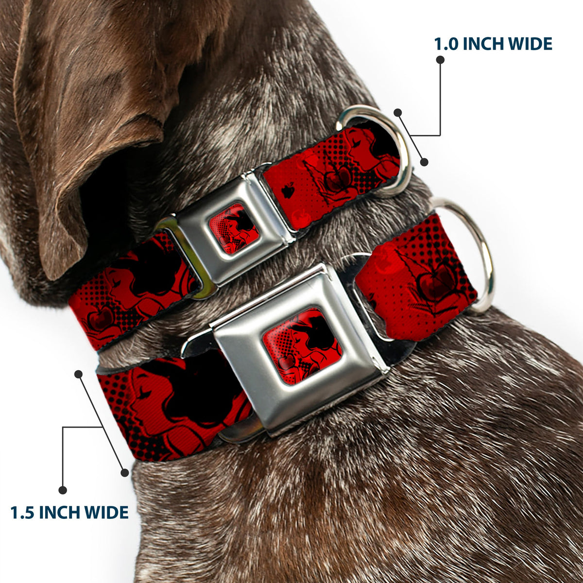 Snow White & Apple Full Color Reds/Black Seatbelt Buckle Collar - SNOW WHITE Poses/Apple Halftone Reds/Black