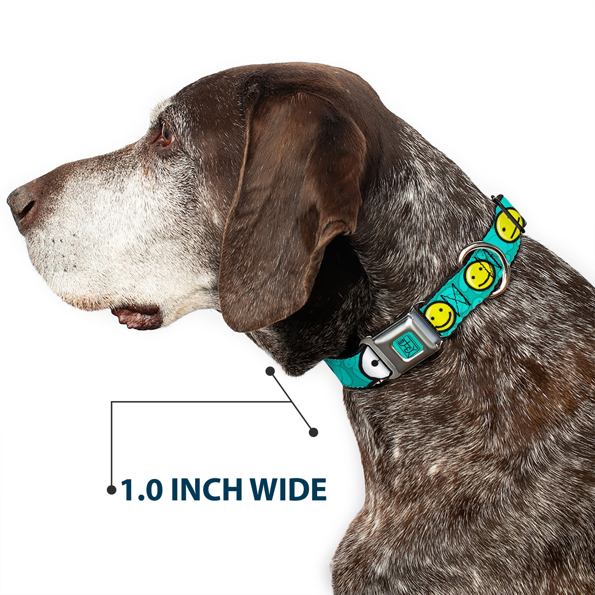 BAYMAX Hanko Full Color Turquoise Black Seatbelt Buckle Collar - Baymax/Mood Expressions/Baymax Scattered Turquoise