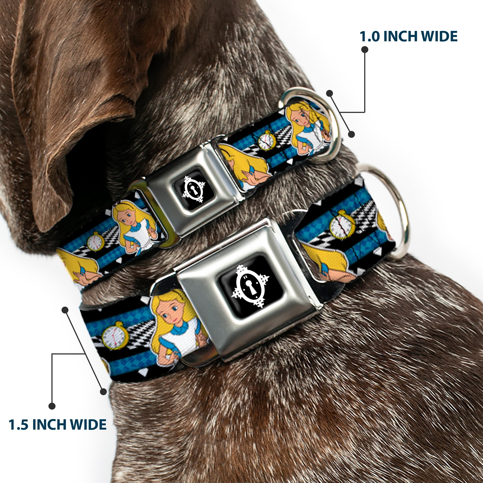 Alice Keyhole Full Color Black/White Seatbelt Buckle Collar - Alice in Wonderland Poses/Clock/Bottle Diamond/Stripe Black/White/Blues