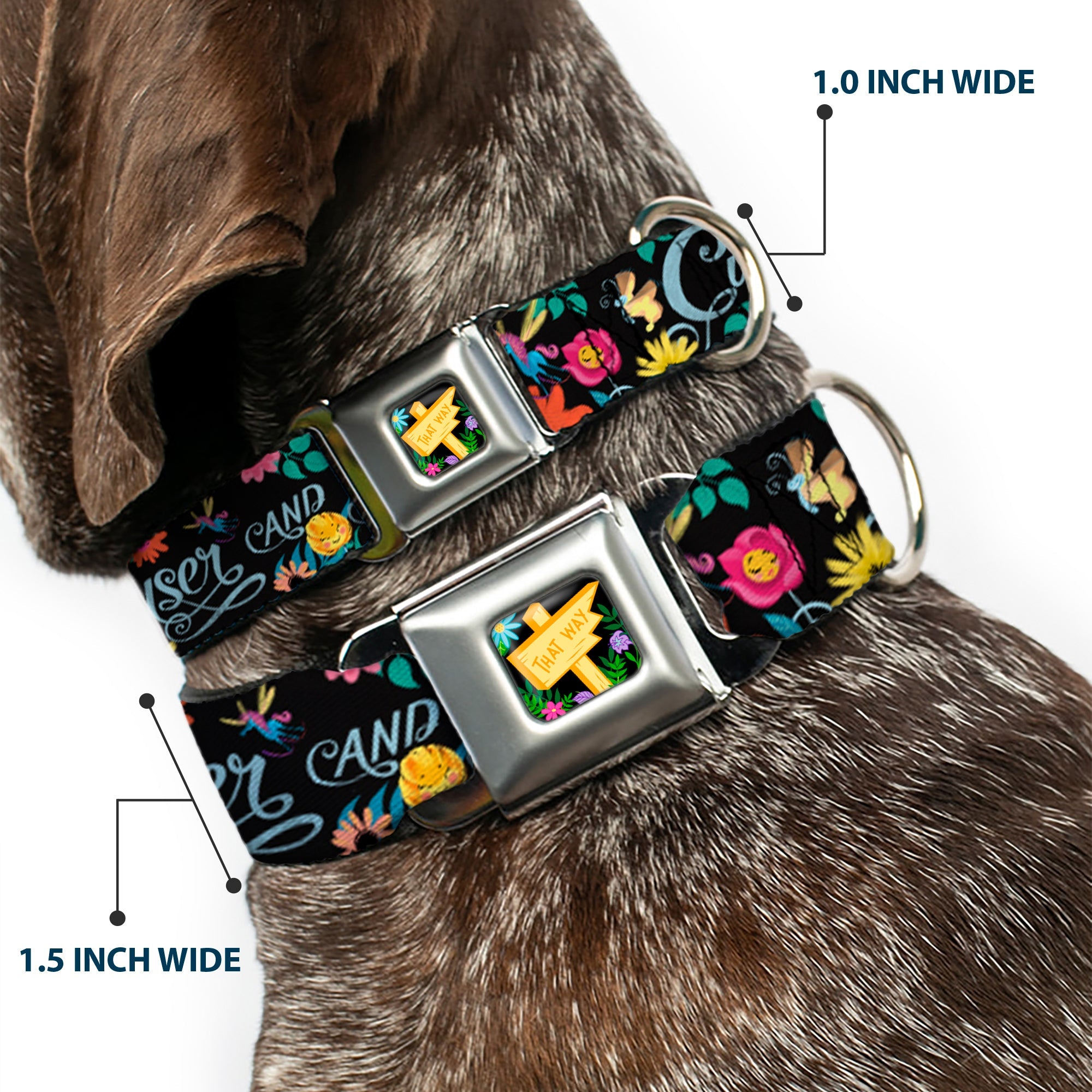 Alice in Wonderland THIS WAY Sign/Flowers Full Color Seatbelt Buckle Collar - CURIOUSER AND CURIOUSER/Flowers of Wonderland Collage