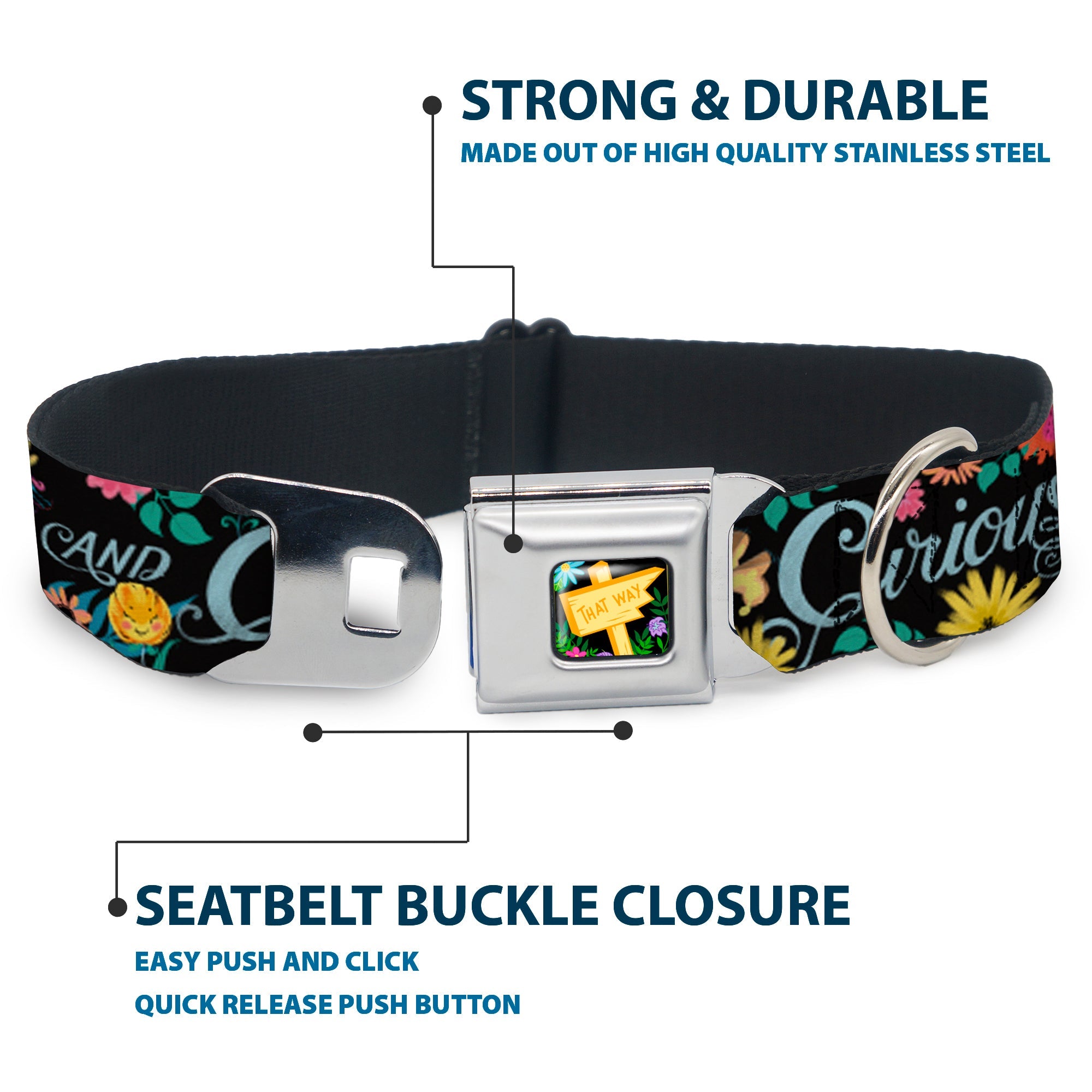 Alice in Wonderland THIS WAY Sign/Flowers Full Color Seatbelt Buckle Collar - CURIOUSER AND CURIOUSER/Flowers of Wonderland Collage