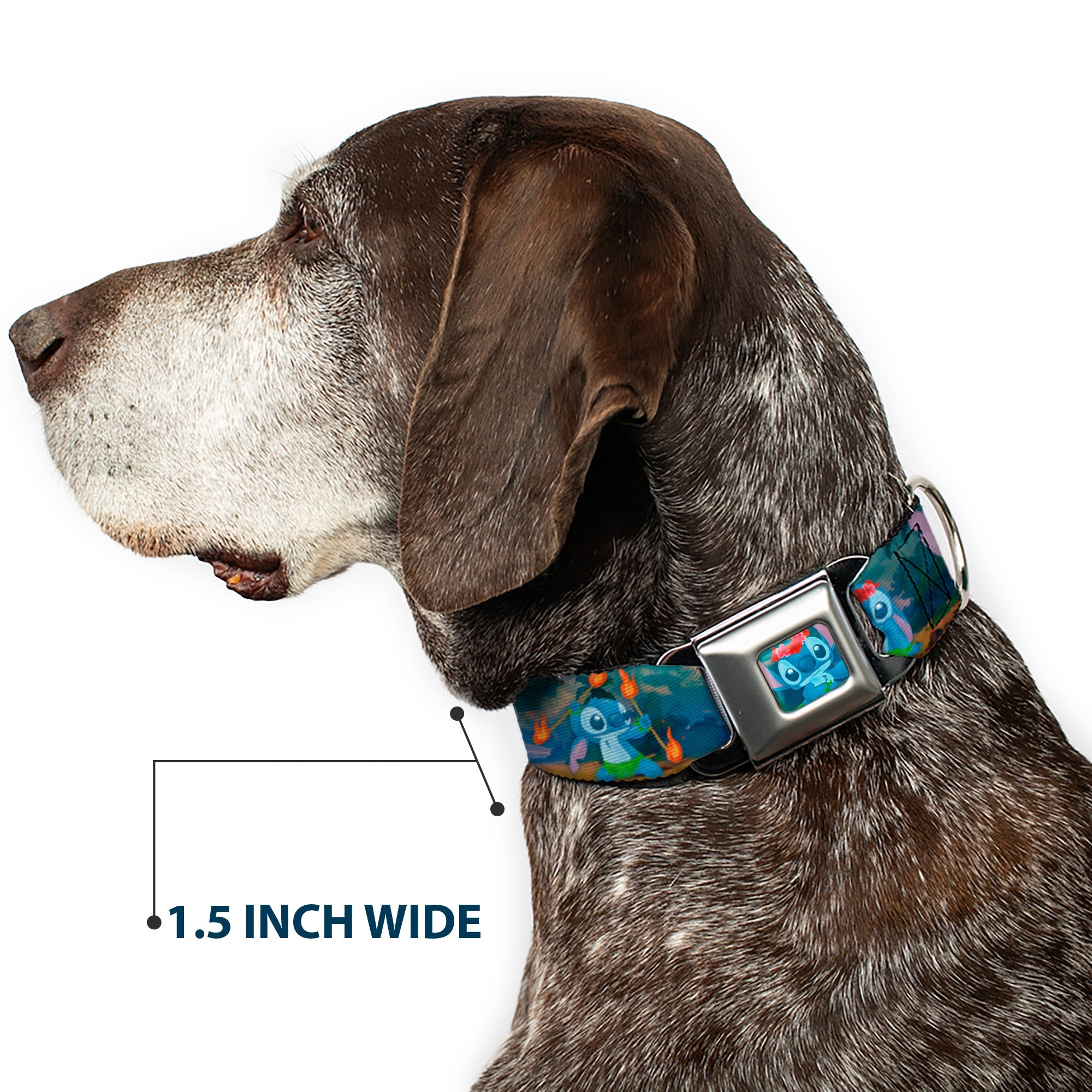 Stitch Hula Pose Full Color Seatbelt Buckle Collar - Stitch Hula Dance 5-Poses