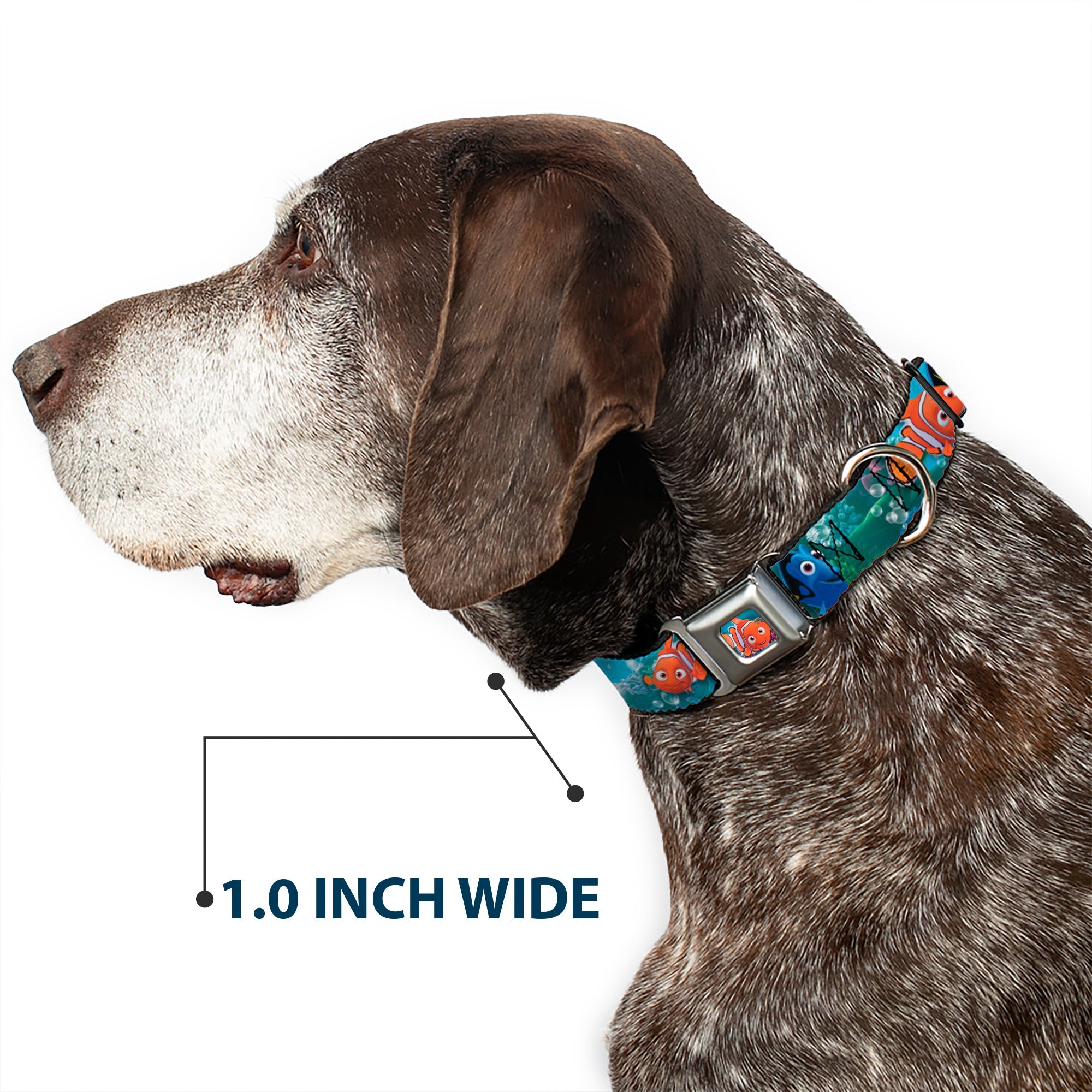 Nemo Smiling Full Color Seatbelt Buckle Collar - Nemo & Dory Poses