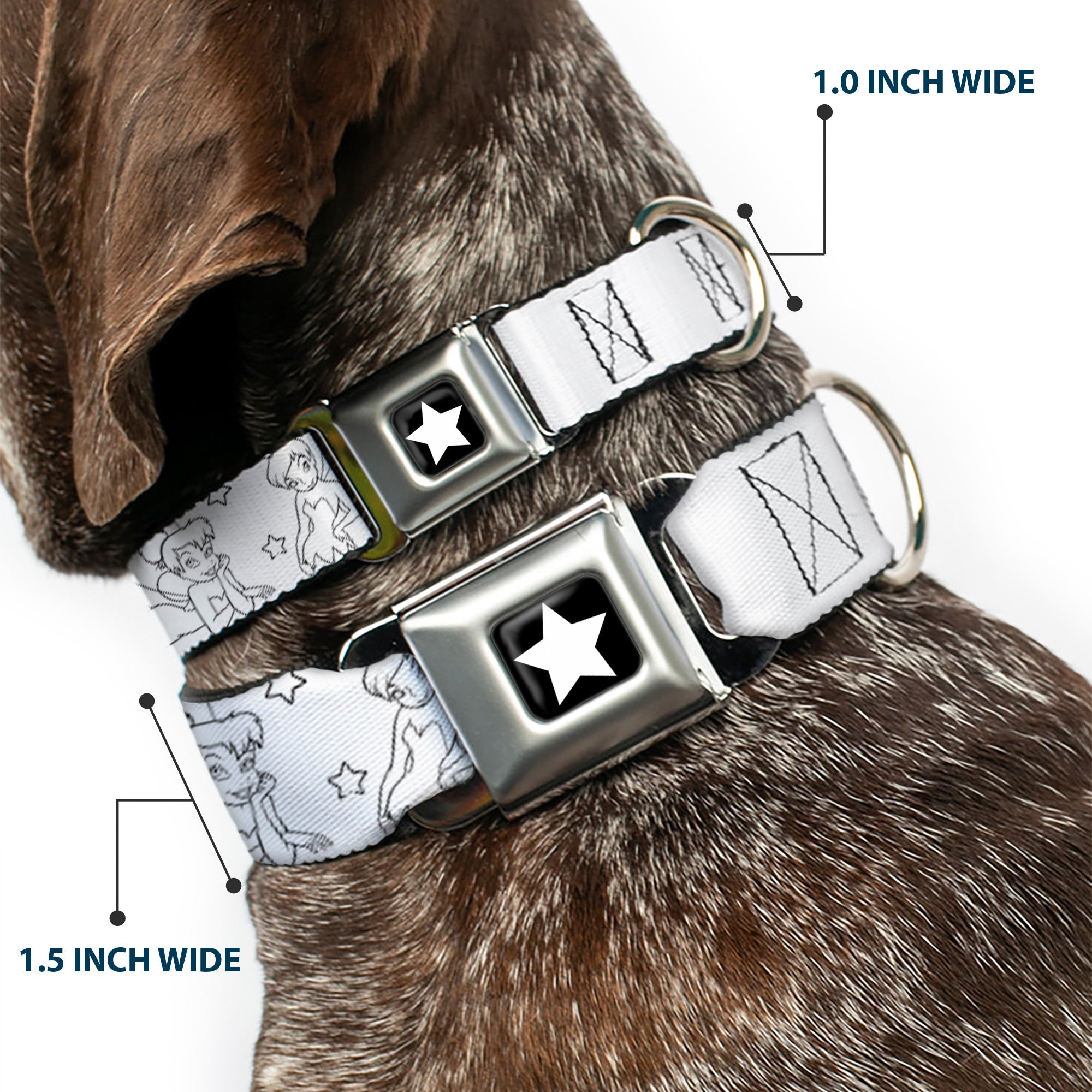 Tinker Bell Star Full Color Black/White Seatbelt Buckle Collar - Tinker Bell Poses/Stars Outline White/Black