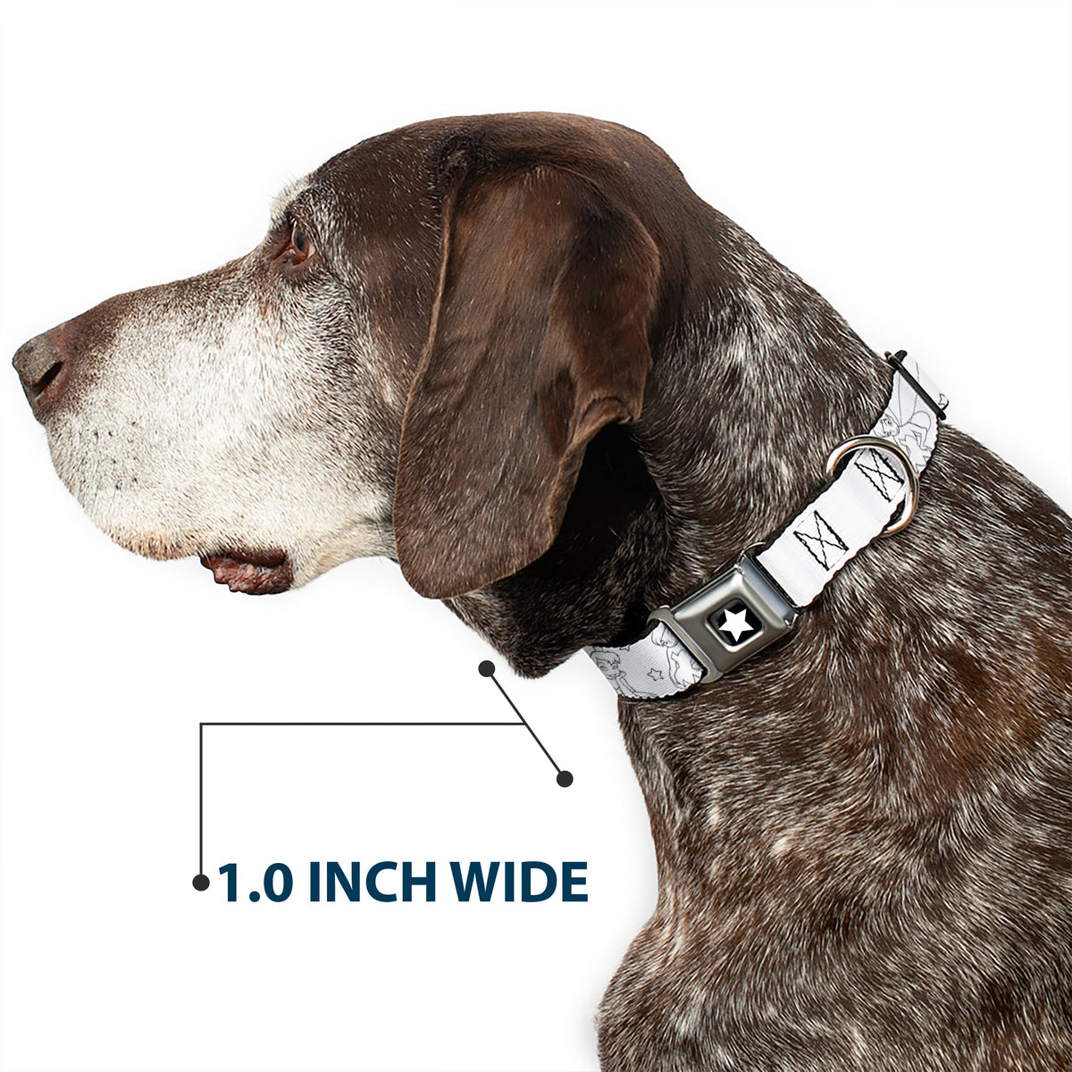 Tinker Bell Star Full Color Black/White Seatbelt Buckle Collar - Tinker Bell Poses/Stars Outline White/Black