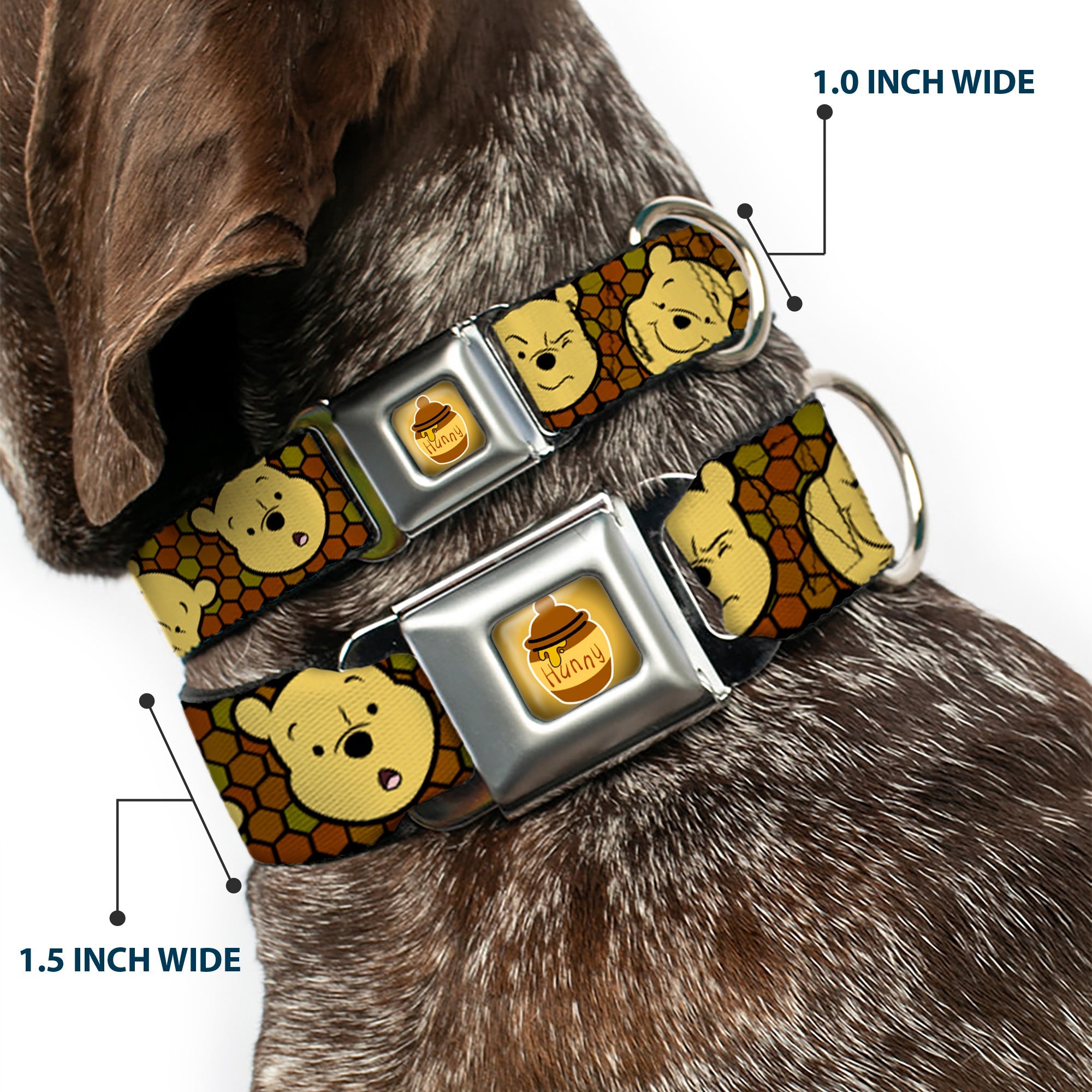 HUNNY Pot Full Color Black/Browns Seatbelt Buckle Collar - Winnie the Pooh Expressions/Honeycomb Black/Browns