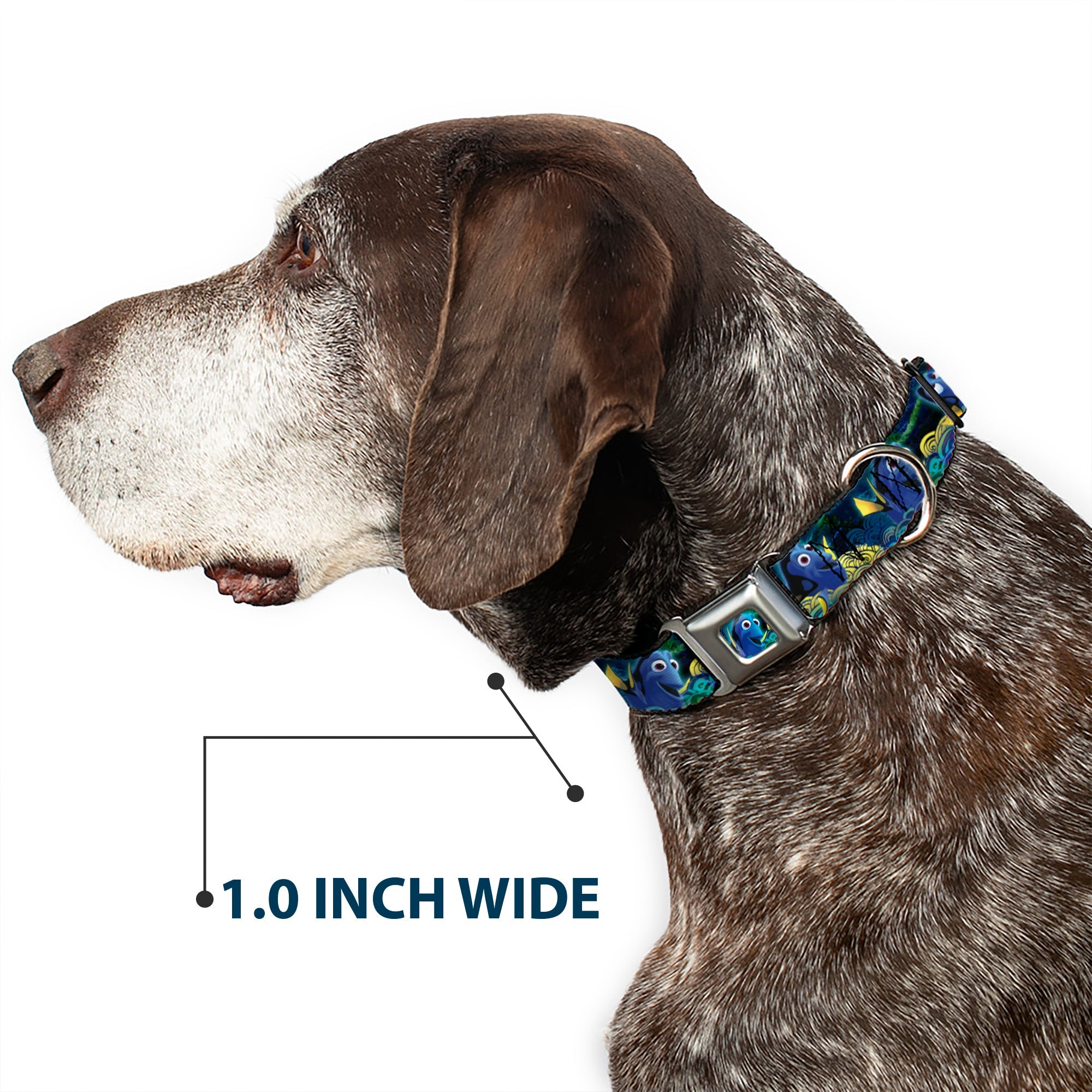 Dory Pose2/Swirls Full Color Blues/Yellows Seatbelt Buckle Collar - Dory Poses/Swirls Blues/Yellows