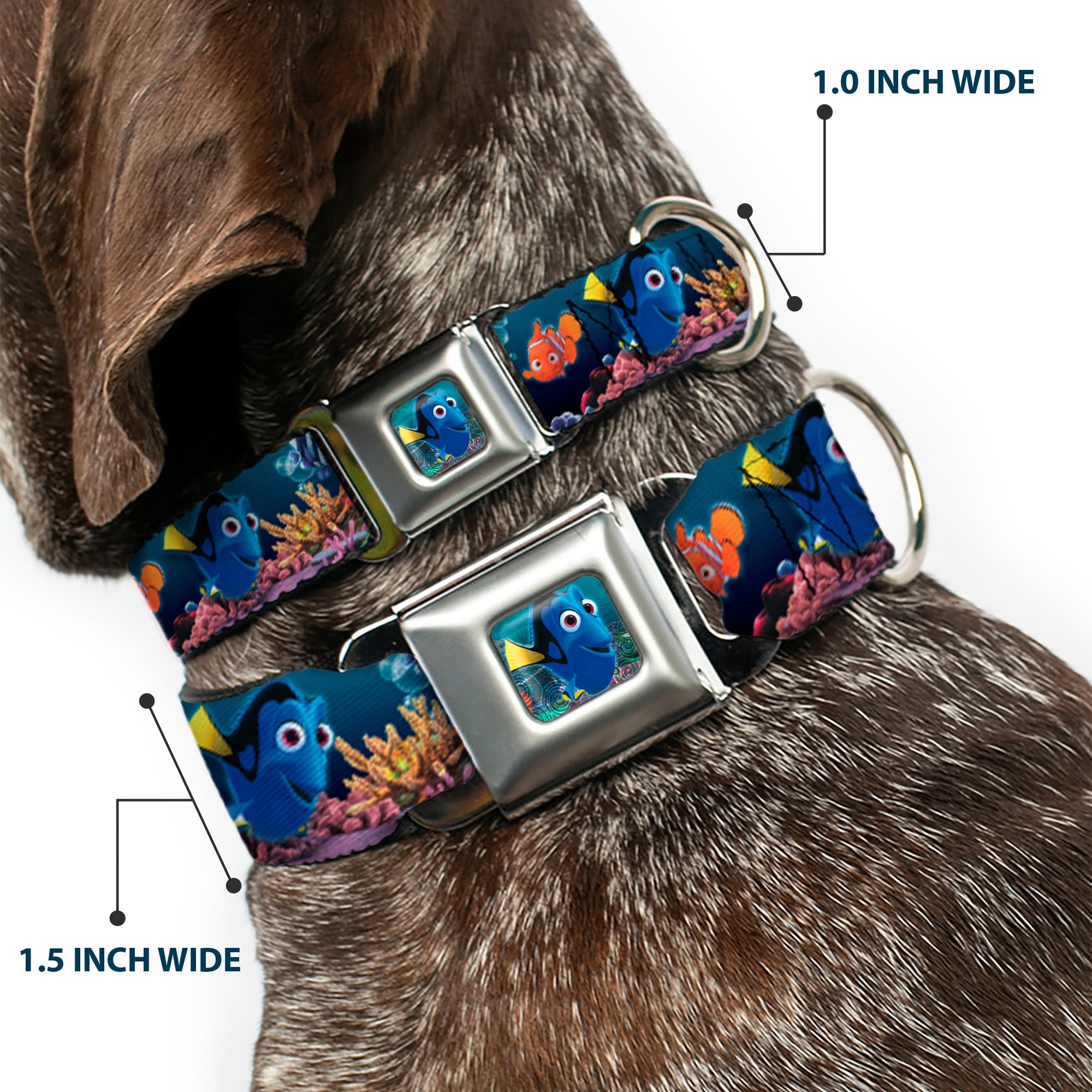 Dory Pose Full Color Seatbelt Buckle Collar - Dory Poses & Friends Under the Sea