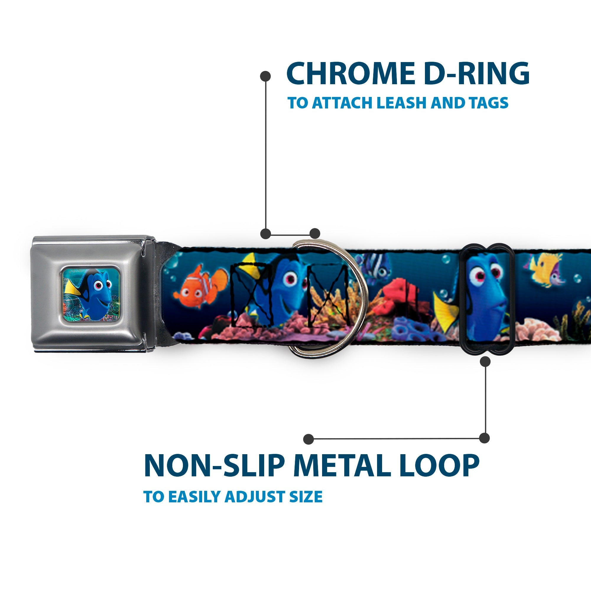 Dory Pose Full Color Seatbelt Buckle Collar - Dory Poses & Friends Under the Sea