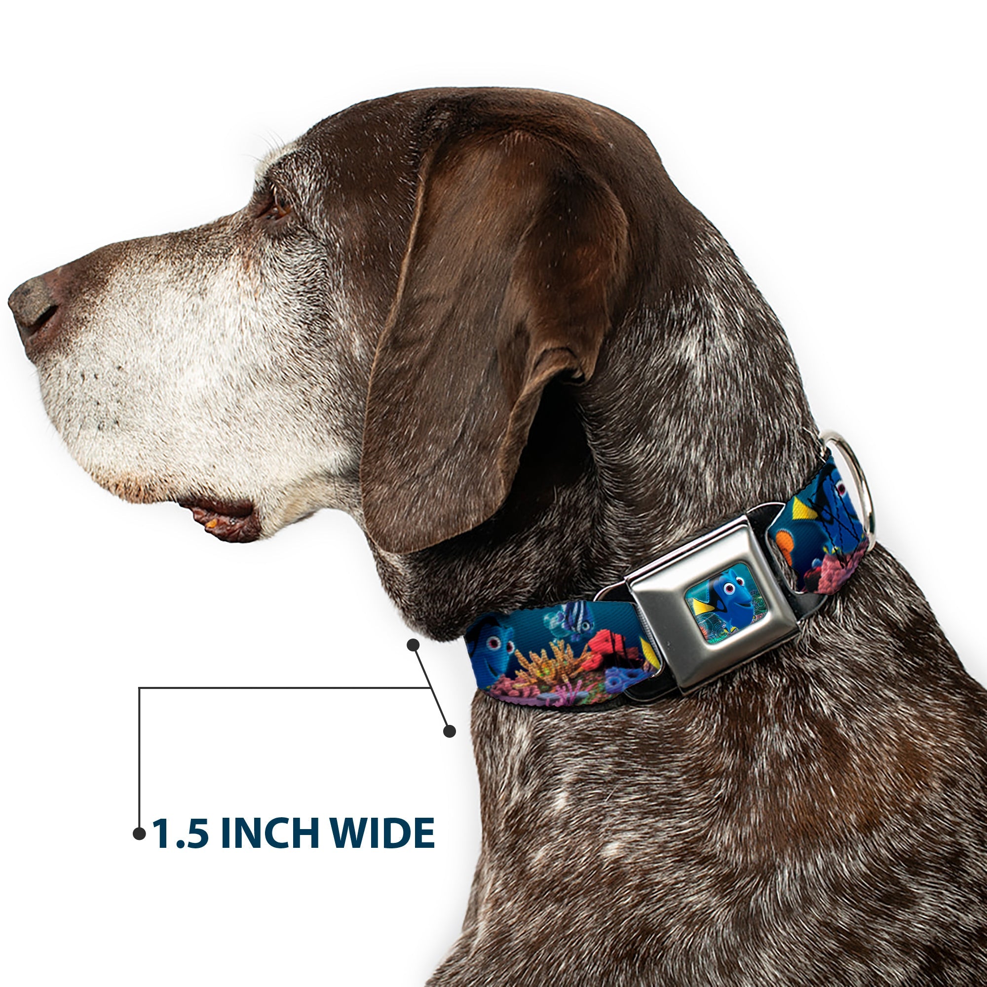 Dory Pose Full Color Seatbelt Buckle Collar - Dory Poses & Friends Under the Sea
