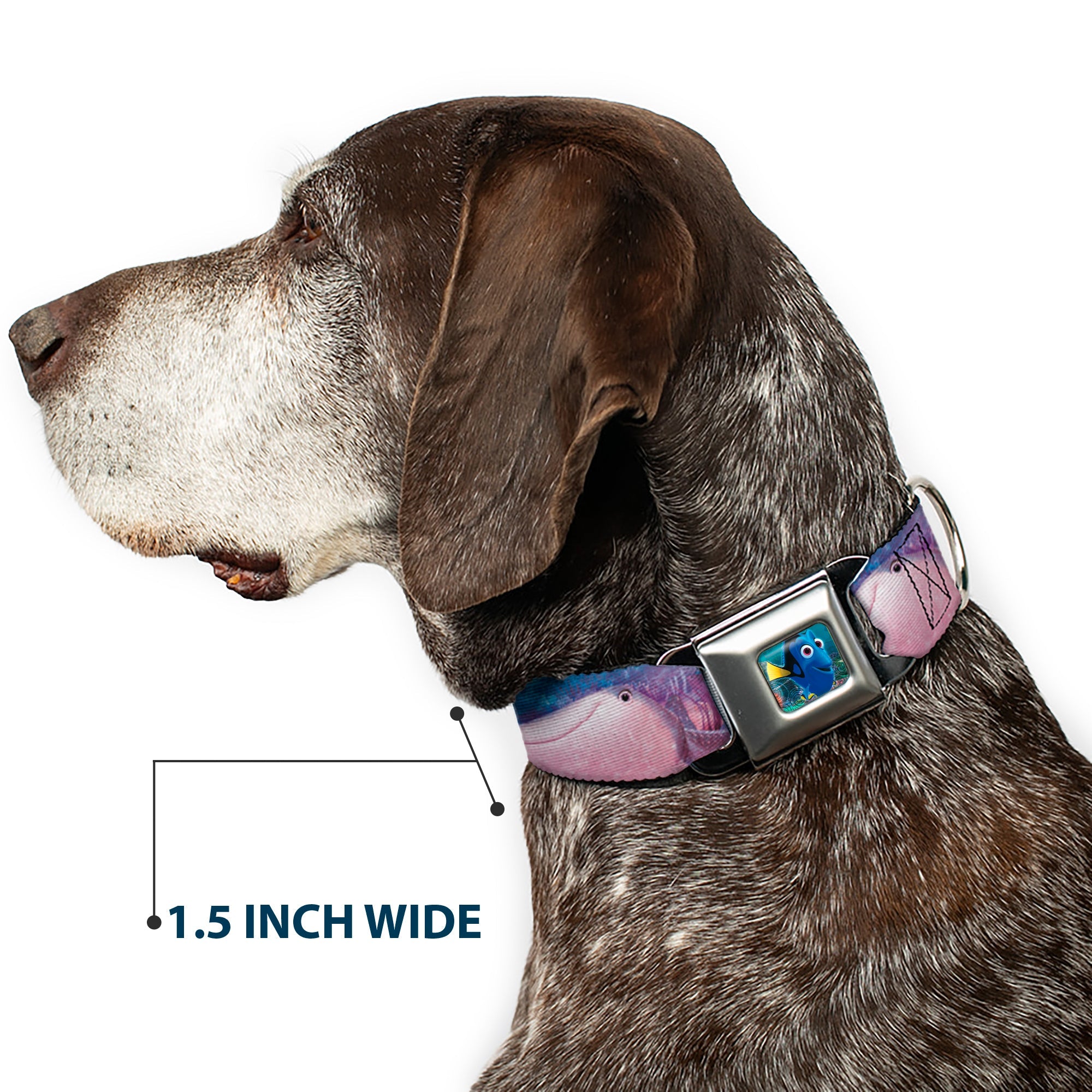 Dory Pose Seatbelt Buckle Collar - Dory & 5-Friends Under the Sea