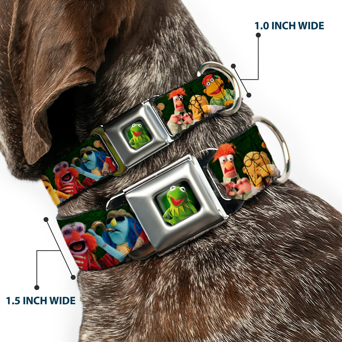 Kermit the Frog Pose Full Color Green Glow Seatbelt Buckle Collar - Muppets 20-Character Group Pose Greens