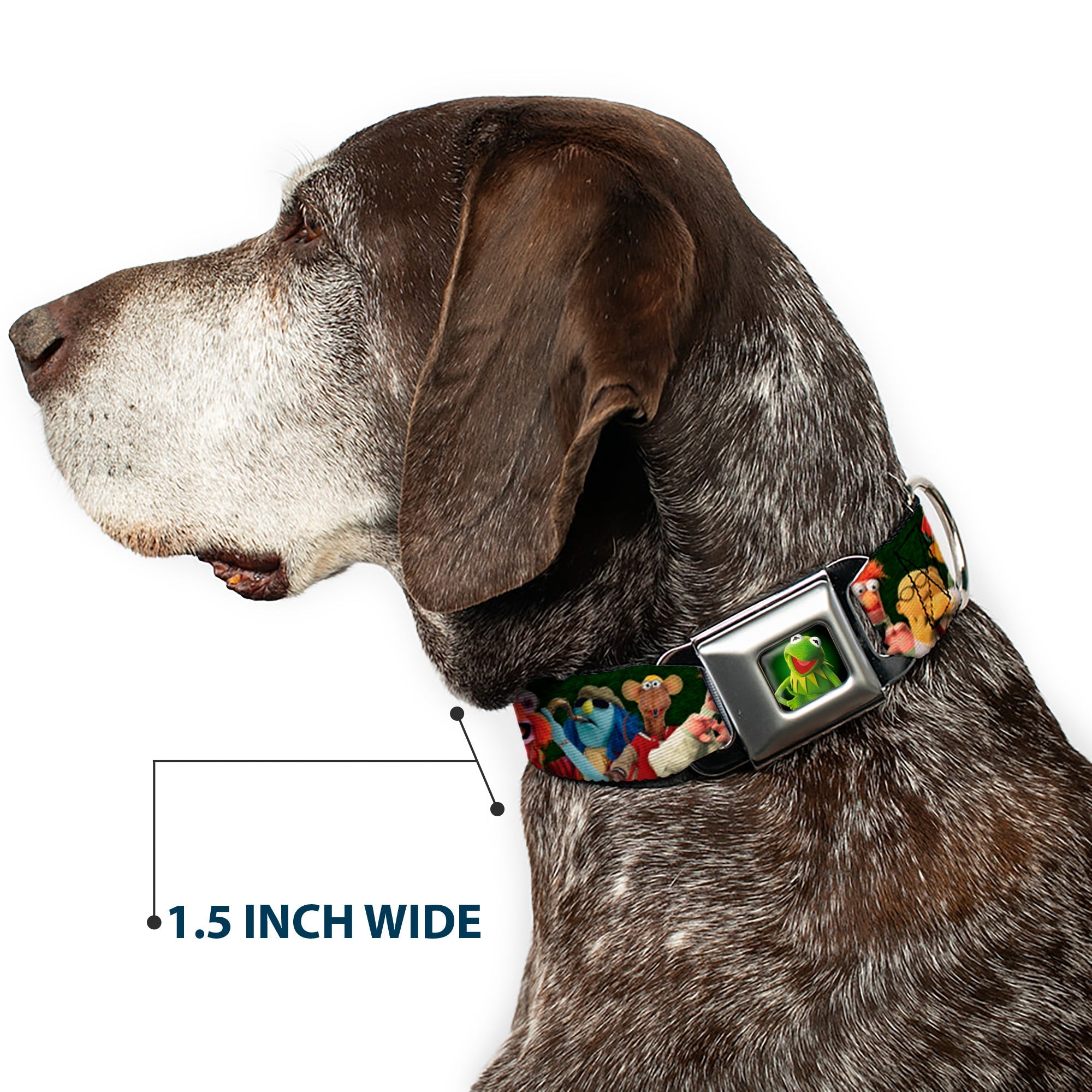 Kermit the Frog Pose Full Color Green Glow Seatbelt Buckle Collar - Muppets 20-Character Group Pose Greens