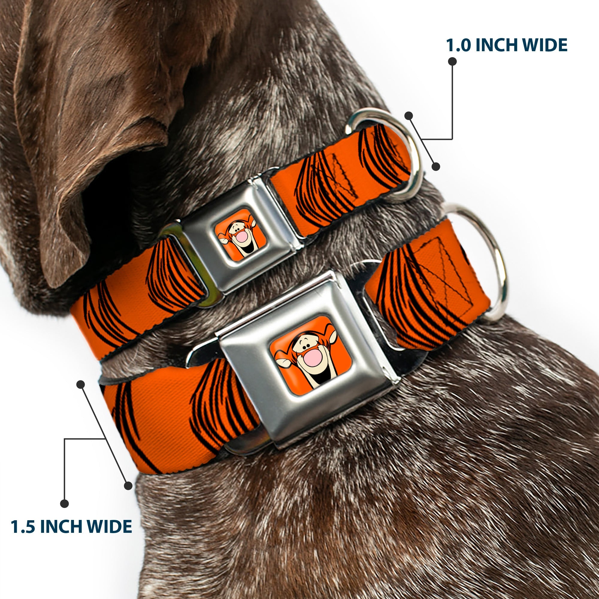 Tigger Face CLOSE-UP Full Color Orange Seatbelt Buckle Collar - Tigger Stripes Orange/Black