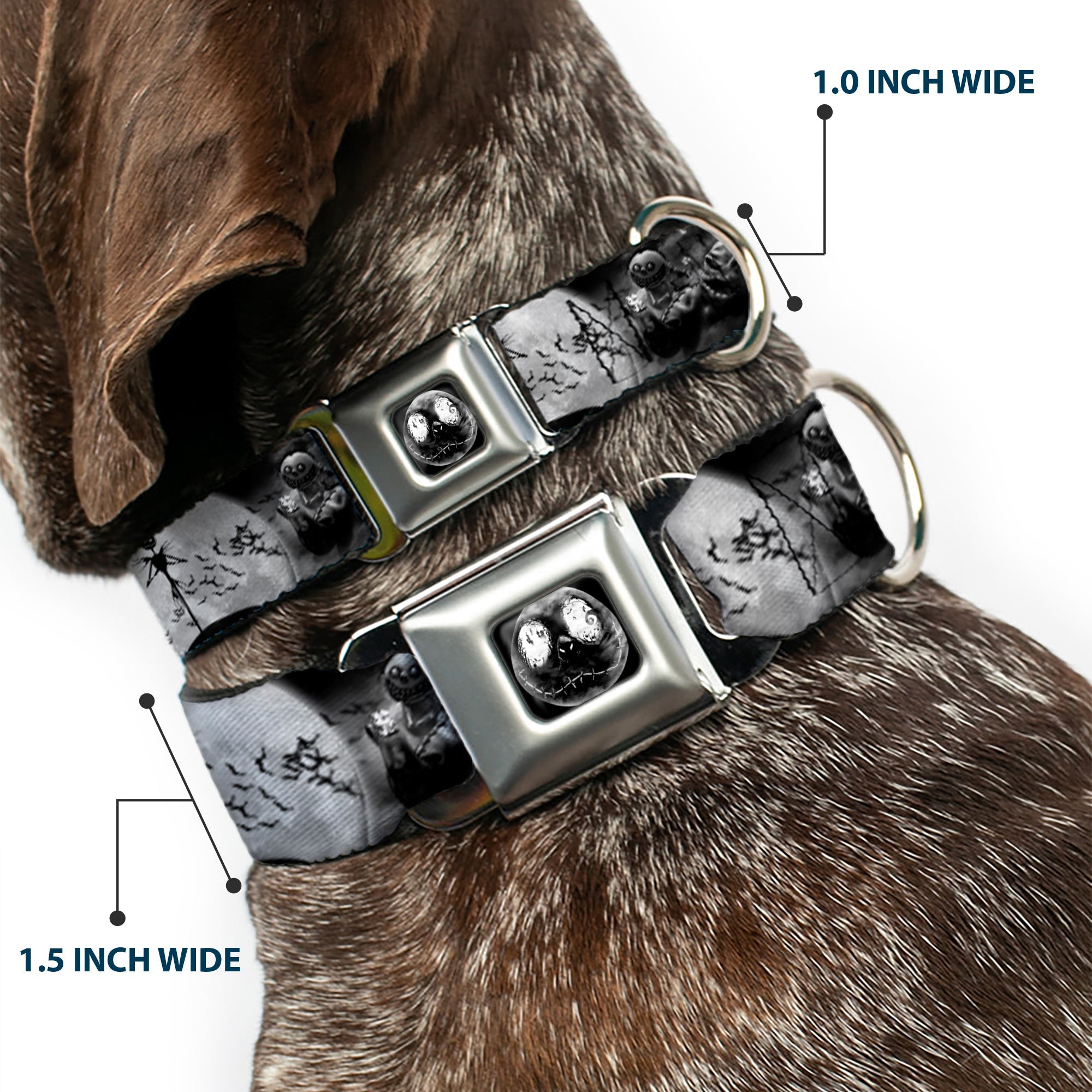 Jack Moon Oogie Boogie Face Full Color Black Grays Seatbelt Buckle Collar - Jack & Oogie Boogie Scenes Grays