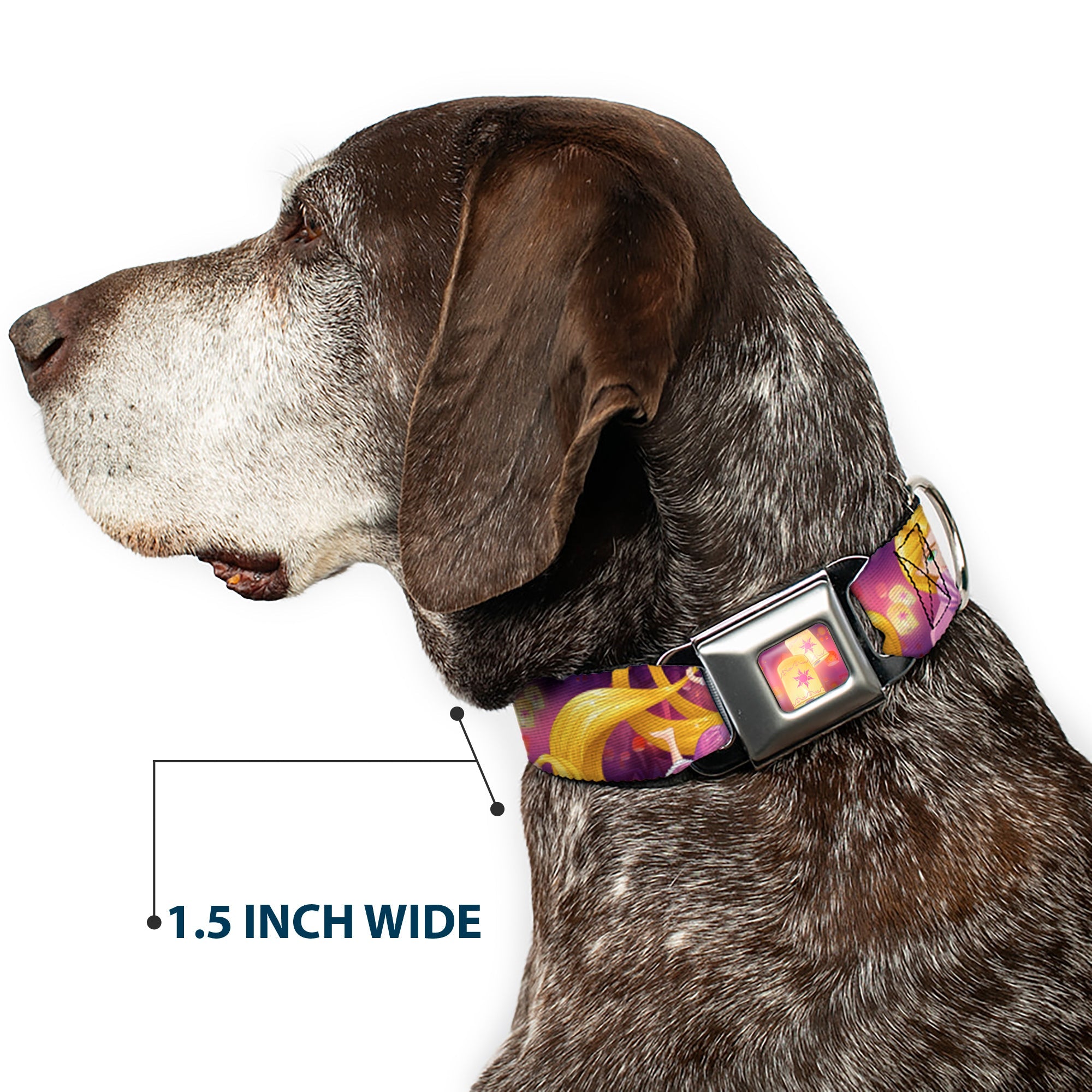 Tangled Lights Light Full Color Purple/Gold Seatbelt Buckle Collar - Rapunzel 4-Tangled Poses/Pascal/Lights Light Purples