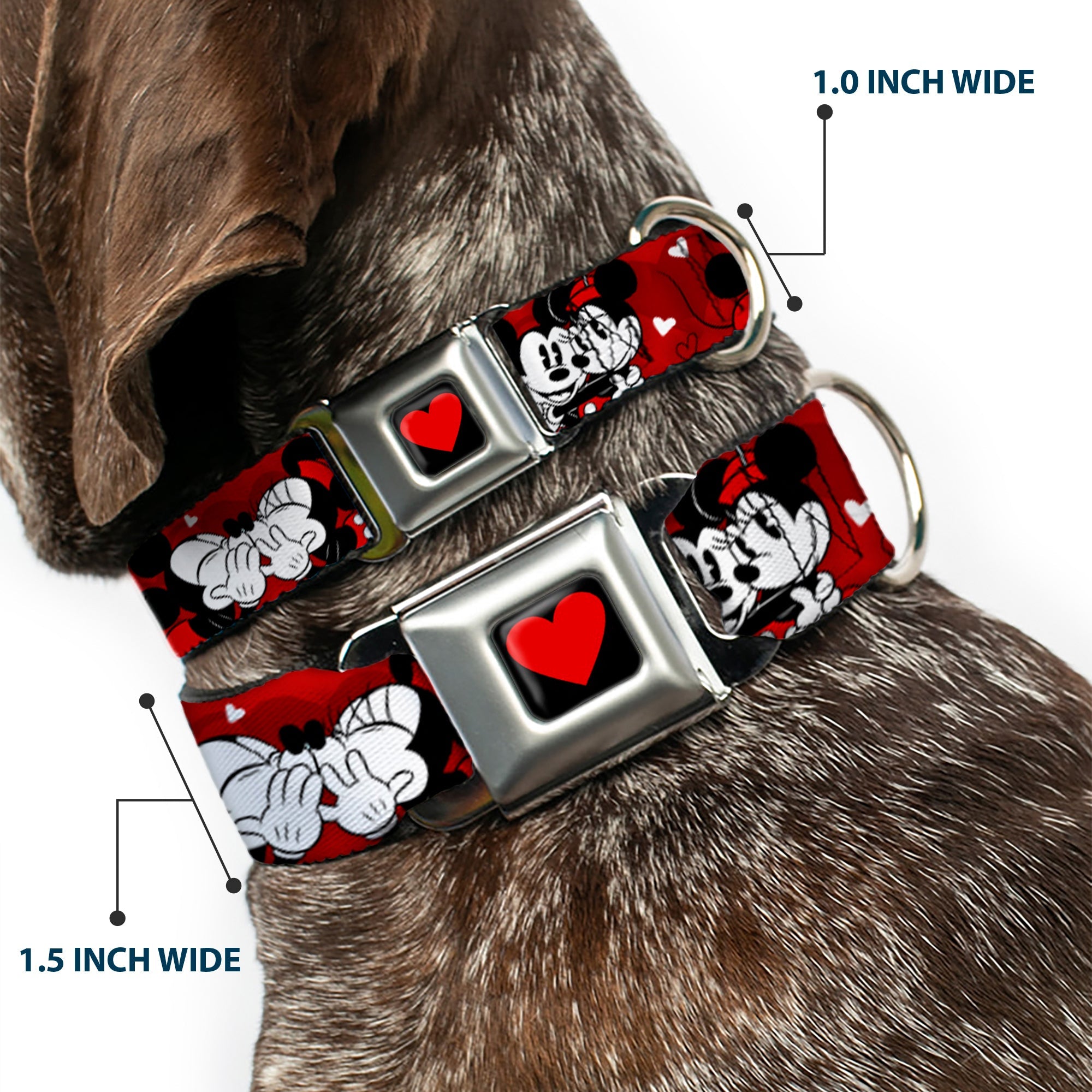 Heart Full Color Black/Red Seatbelt Buckle Collar - Mickey & Minnie HUGS & KISSES Poses Reds/White