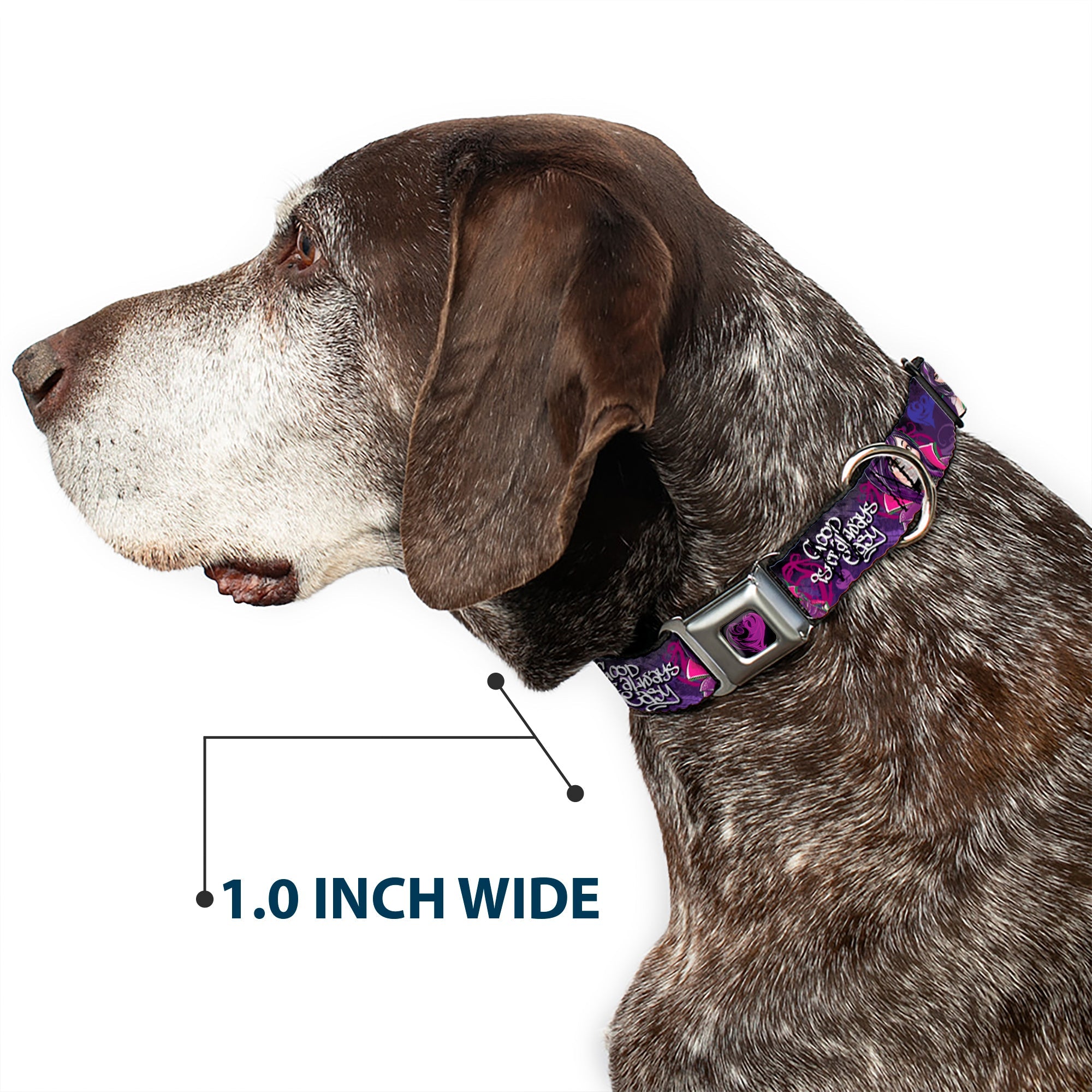 Descendants Dragon Heart Full Color Black/Purples Seatbelt Buckle Collar - Descendants Mal 3-Poses GOOD ISNT ALWAYS/Hearts/Dragons EASY Purples/Pinks