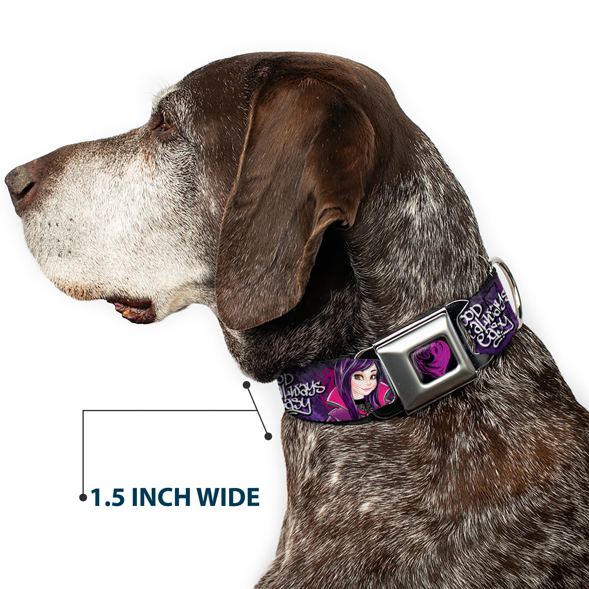 Descendants Dragon Heart Full Color Black/Purples Seatbelt Buckle Collar - Descendants Mal 3-Poses GOOD ISNT ALWAYS/Hearts/Dragons EASY Purples/Pinks