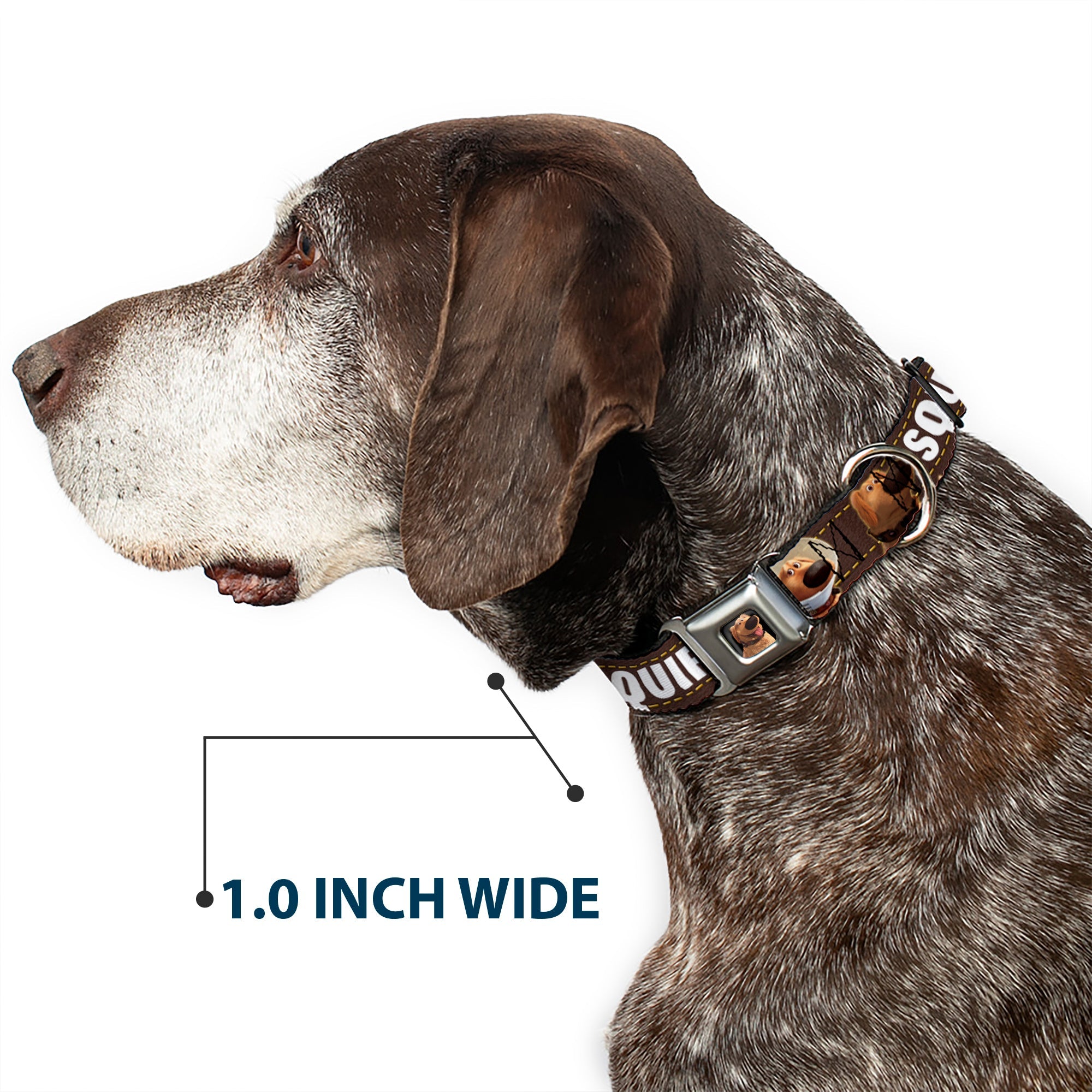 Dug Tongue Out Pose Full Color Black Seatbelt Buckle Collar - Dug 3-Poses/SQUIRREL! Brown/Yellow/White